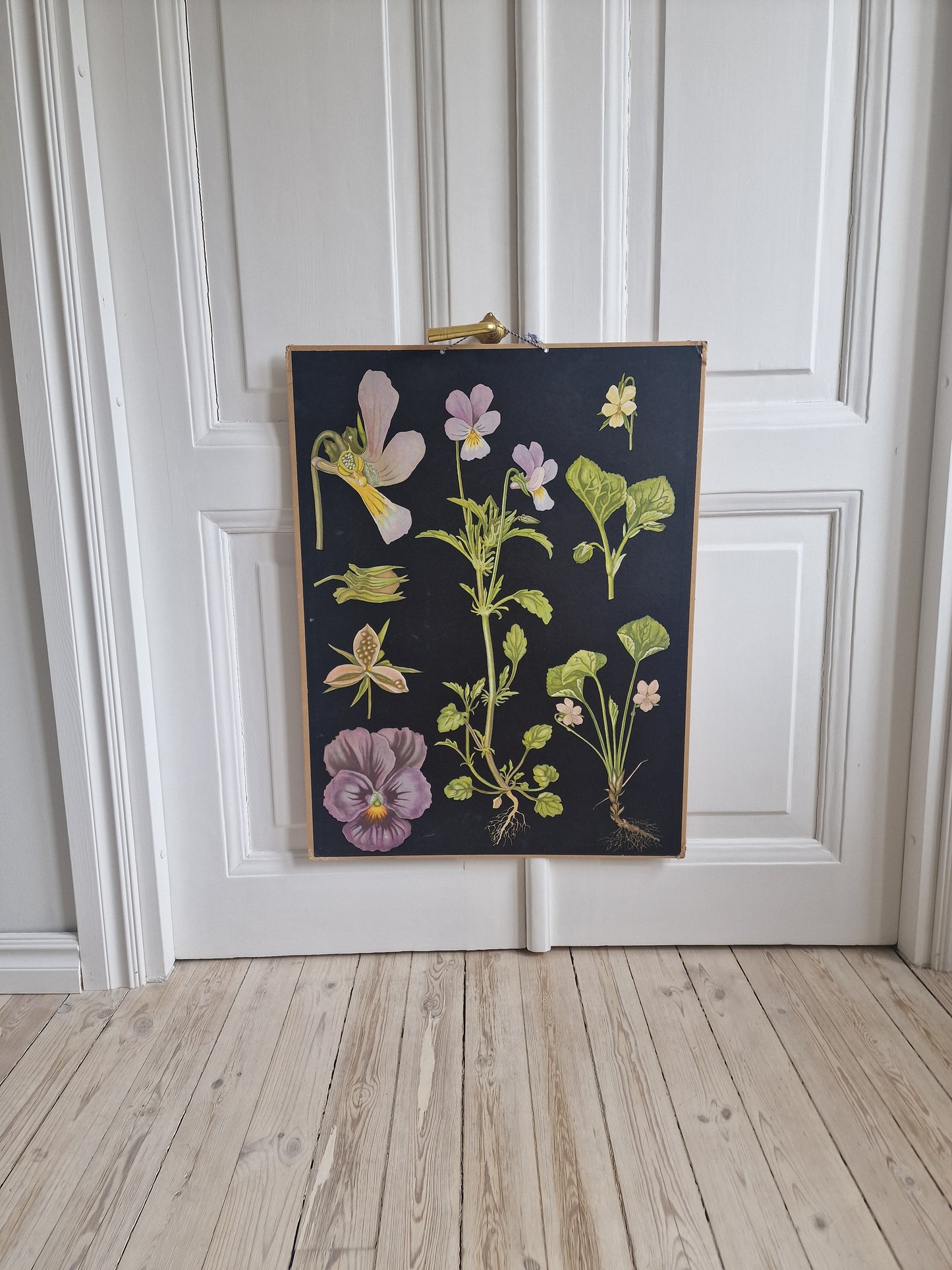 Vanha Ebba Masalin orvokkeja -opetustaulu