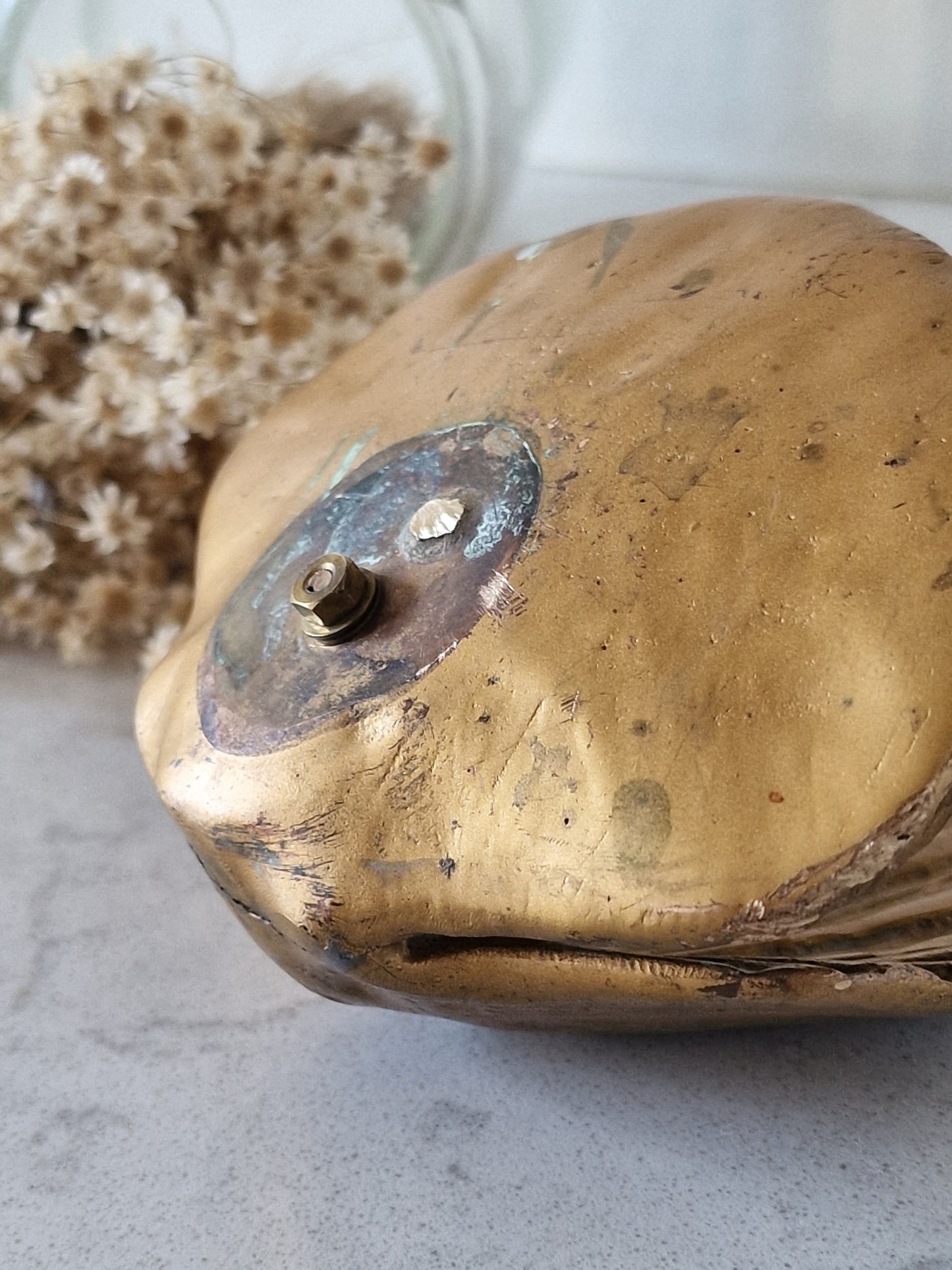 Bronze shell