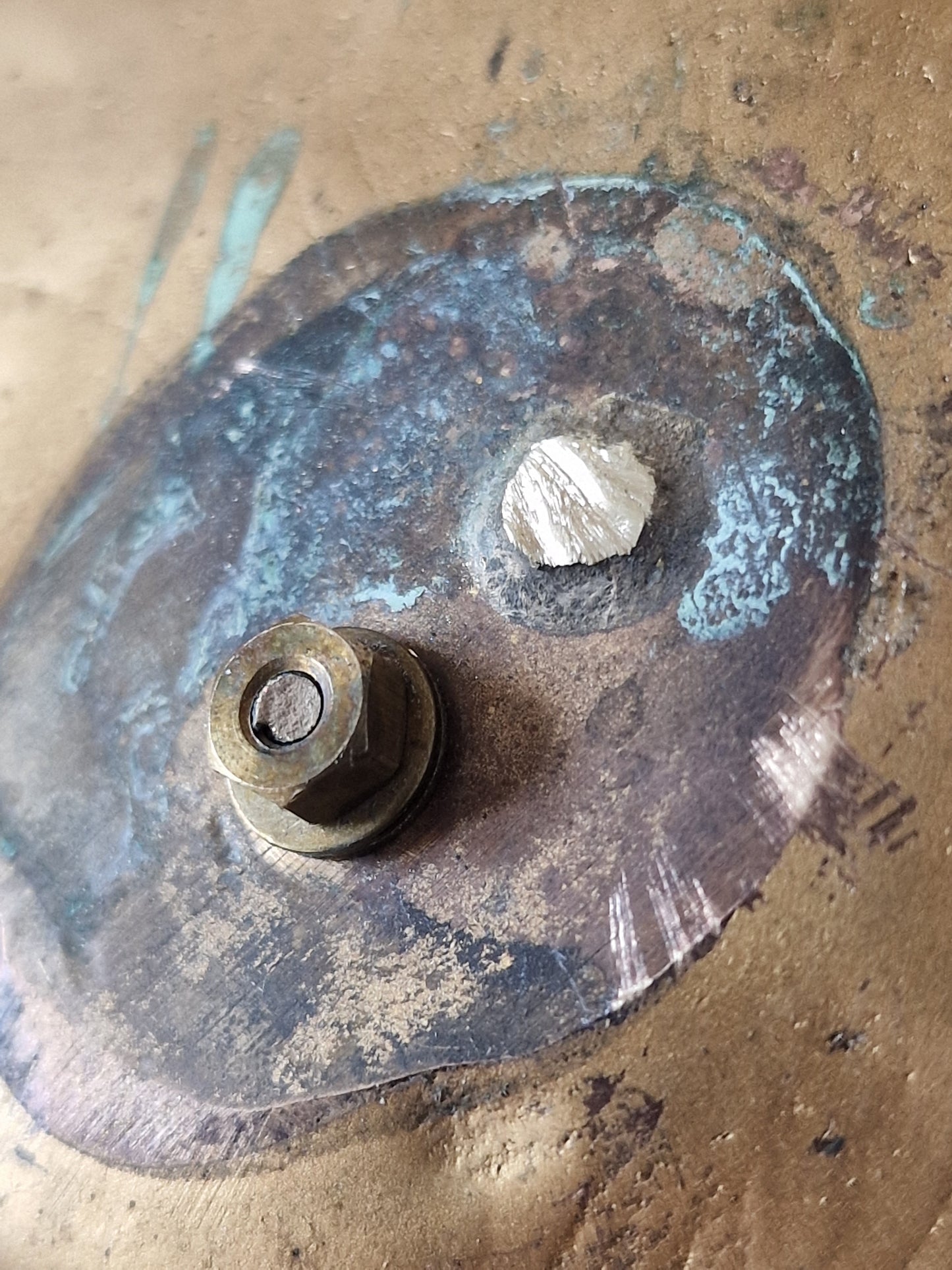Bronze shell