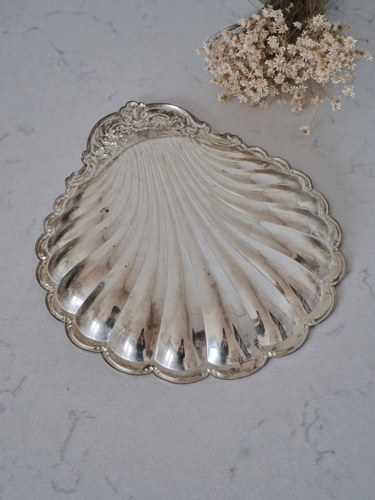 Iso simpukkalautanen