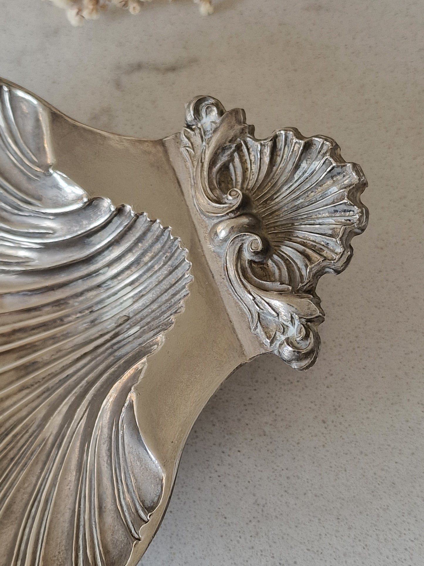 Antiikki simpukka-astia