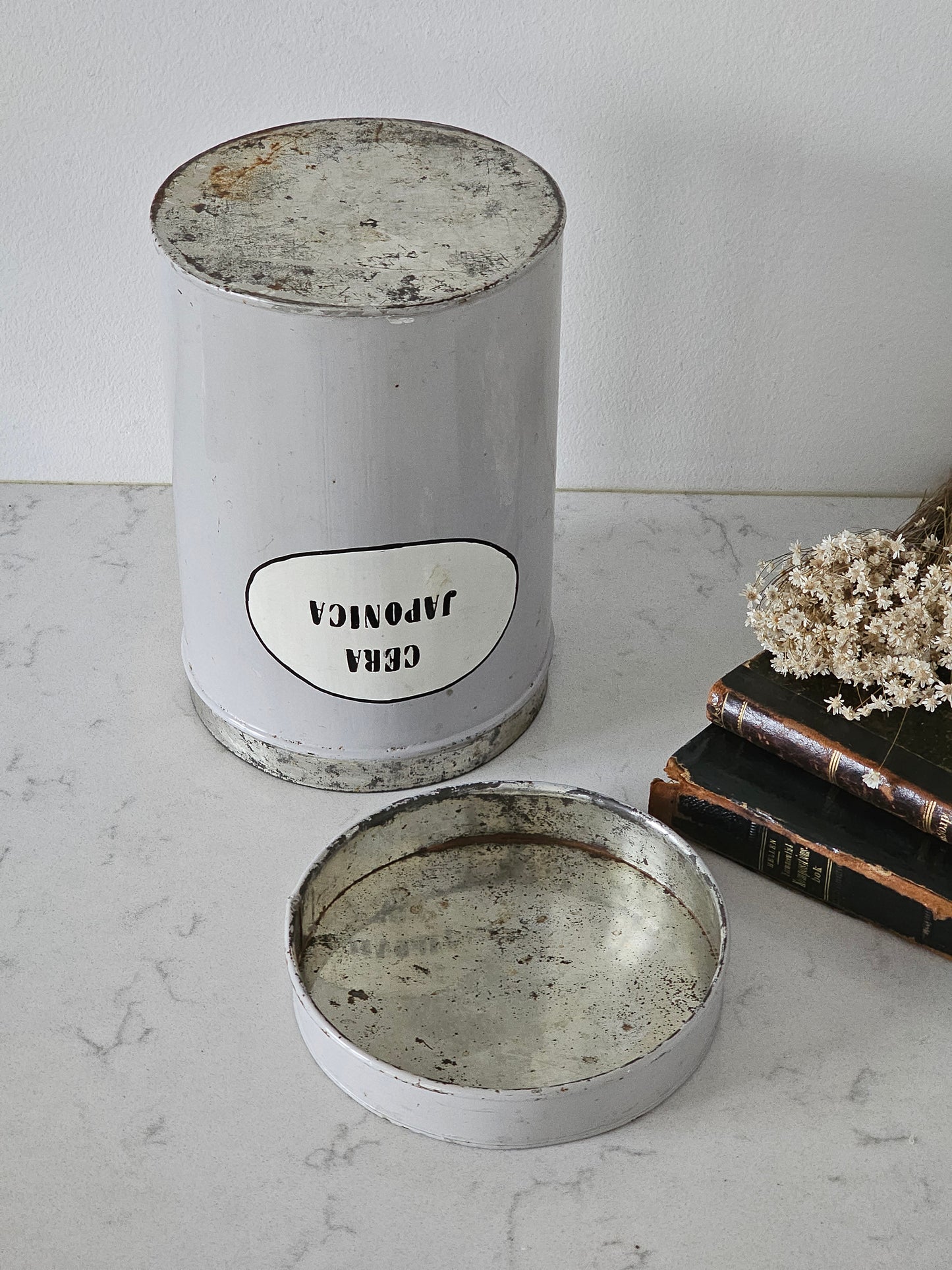 Cera Japonica purkki