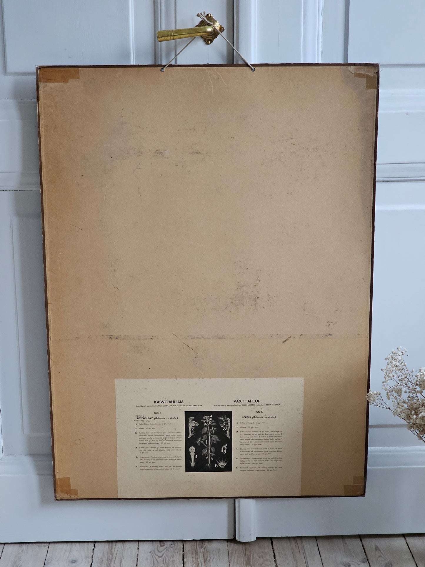 Ebba Masalin opetustaulu Keltapillike