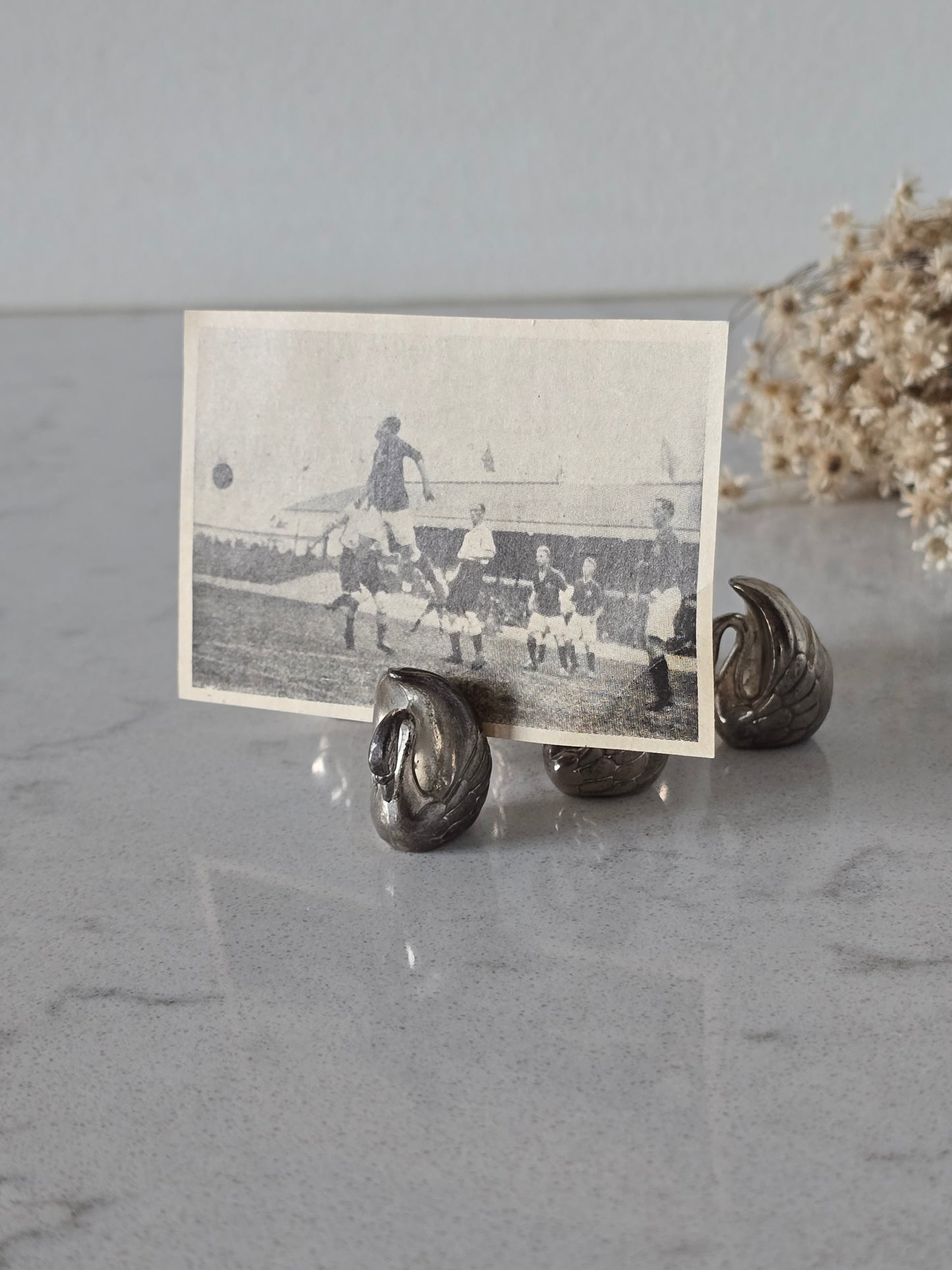 Joutsen korttipidike