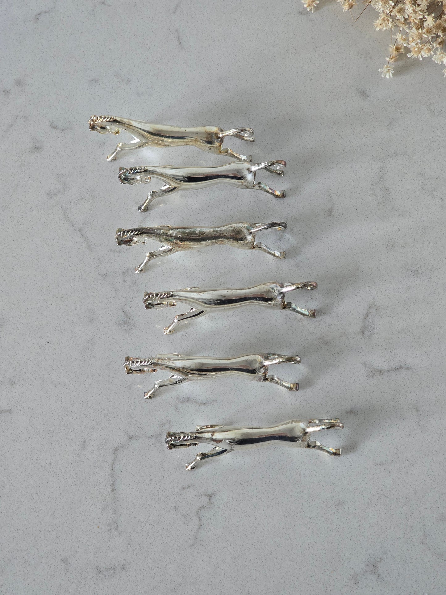 Ranskalaiset hevos-aterinlepuuttajat