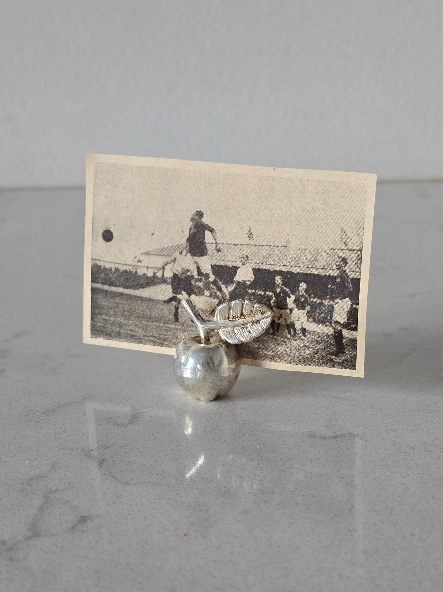 Omena korttipidikkeet 6 kpl