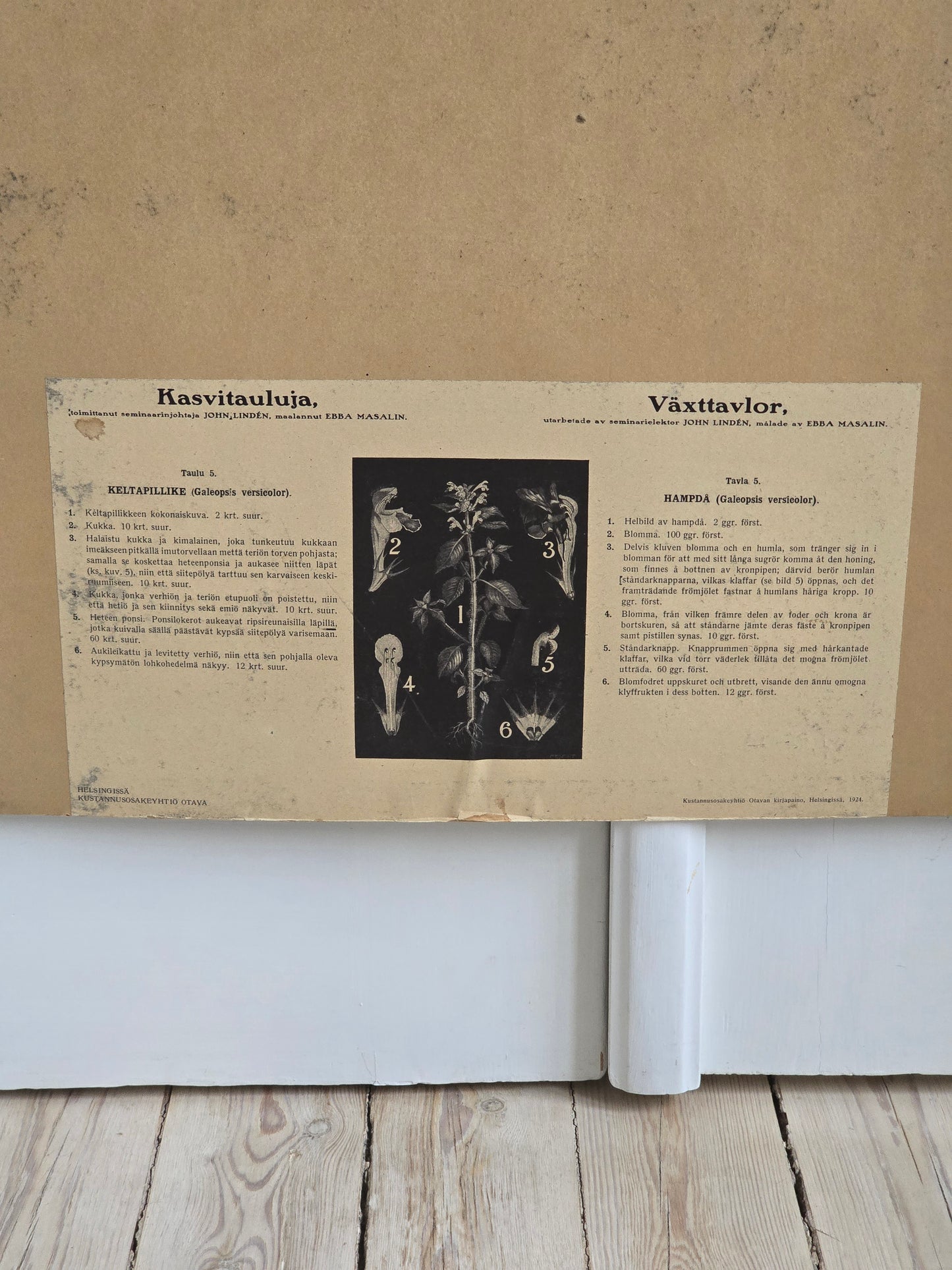 Ebba Masalin Keltapillike opetustaulu