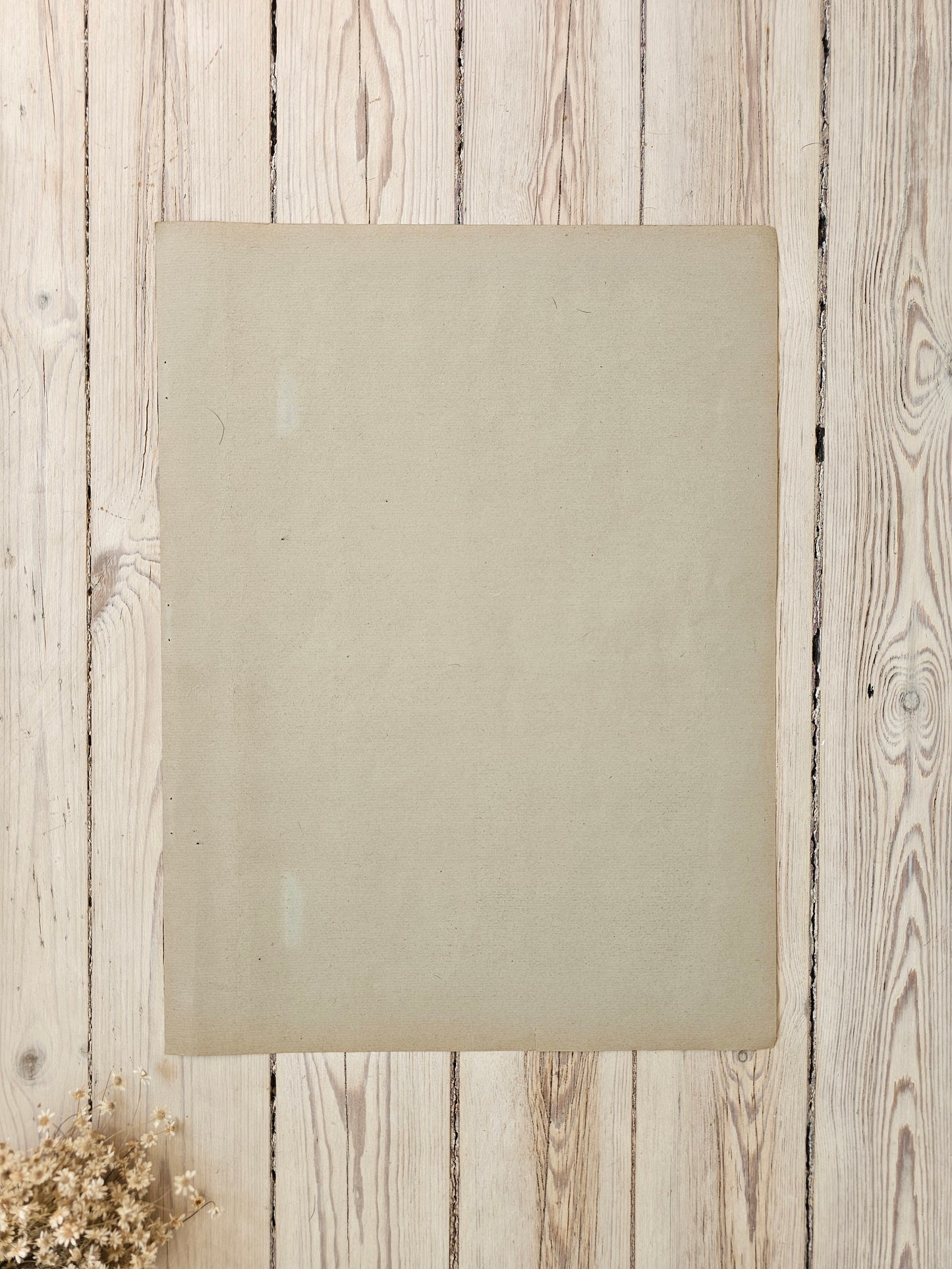 Ranskalainen mainos, 1920-luku