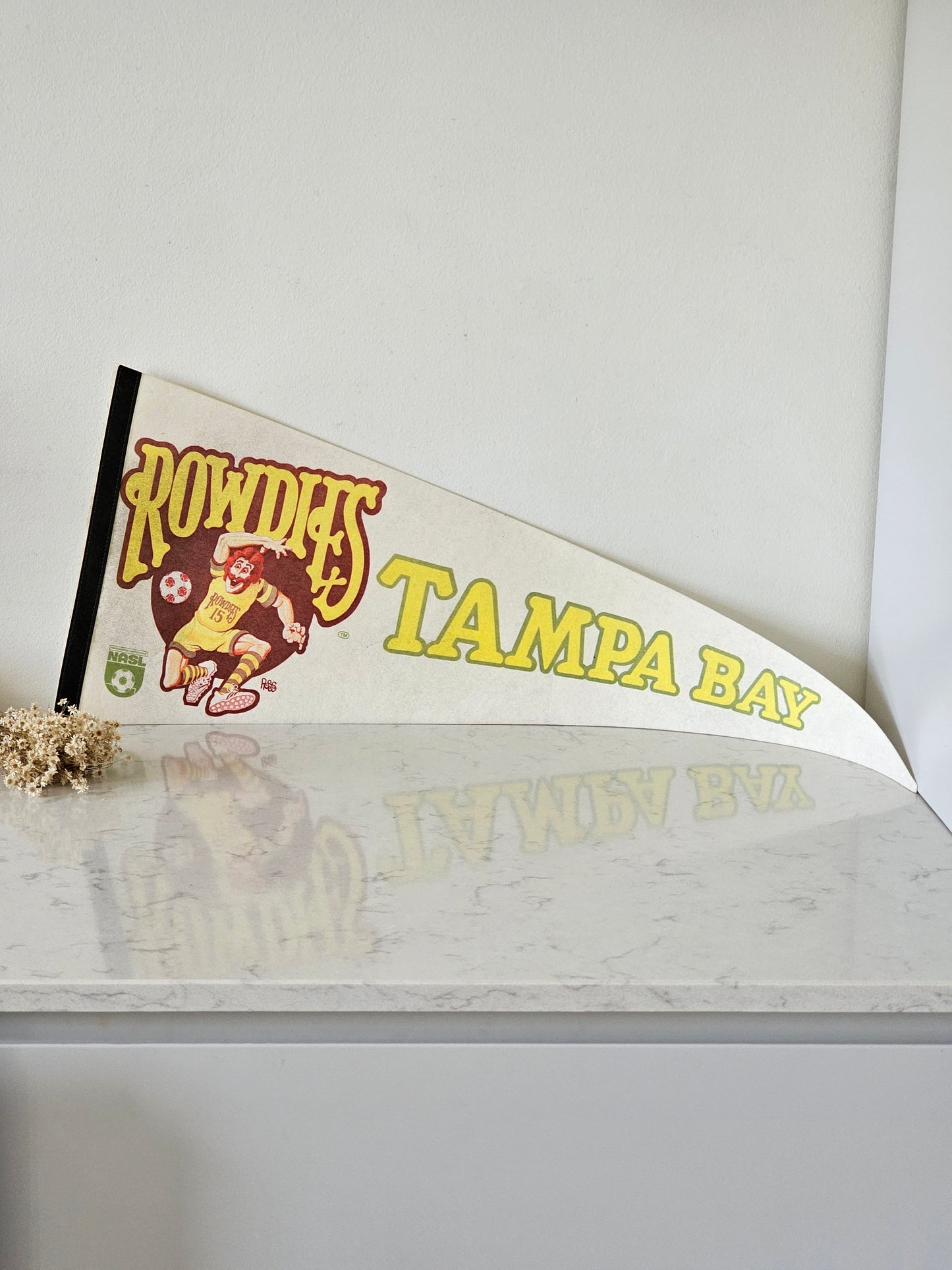 Urheilujoukkueiden vintage viirit, Tampa Bay Rowdies