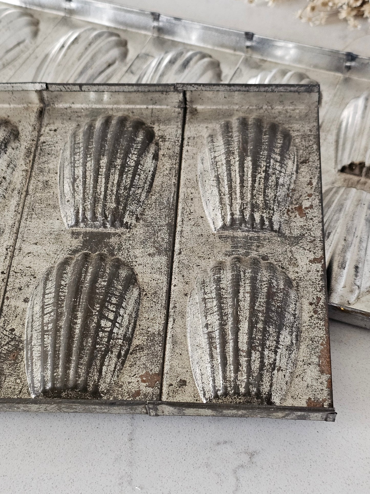 Vanhat simpukkamuotit