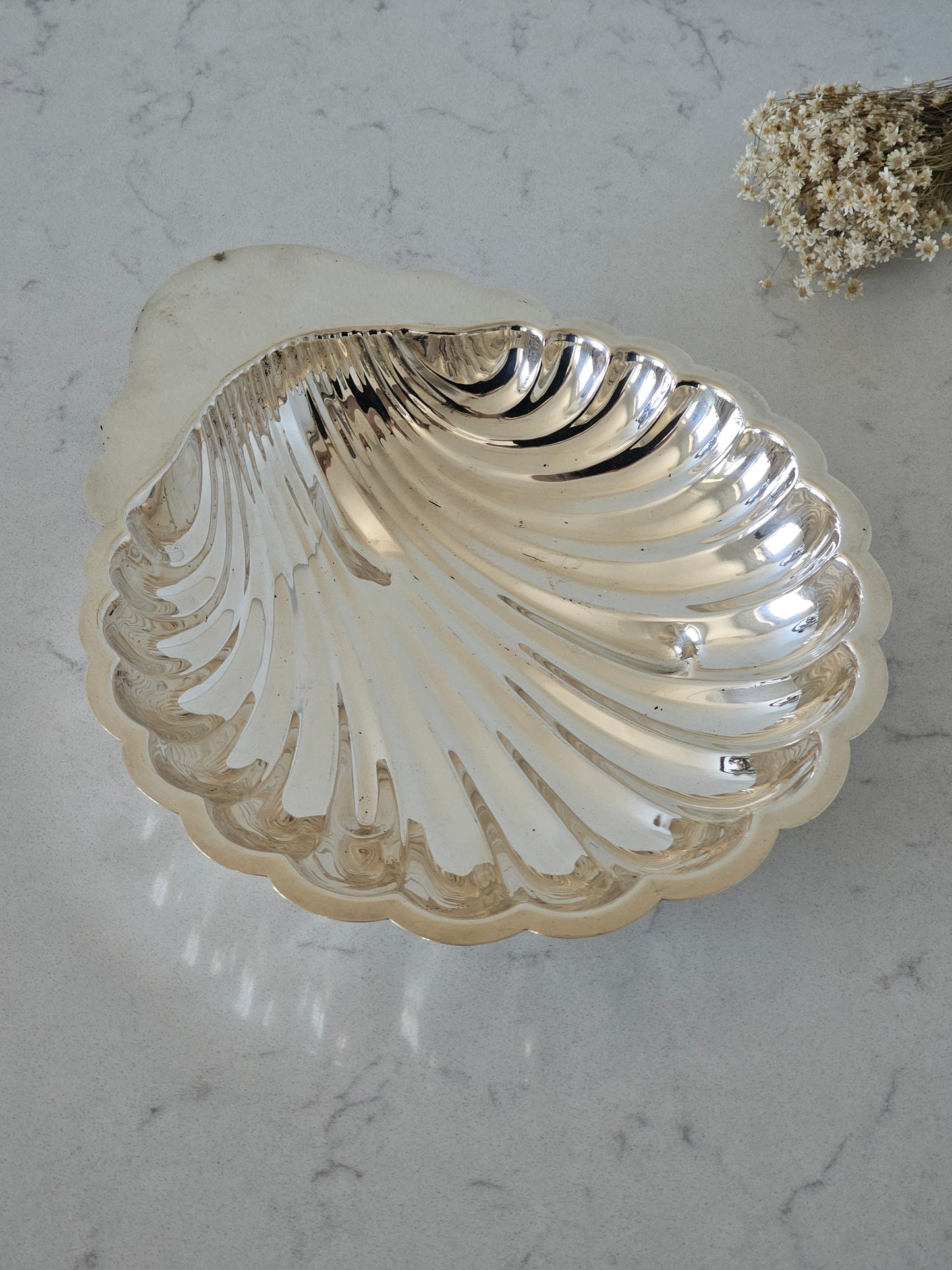 Valtava simpukkakulho