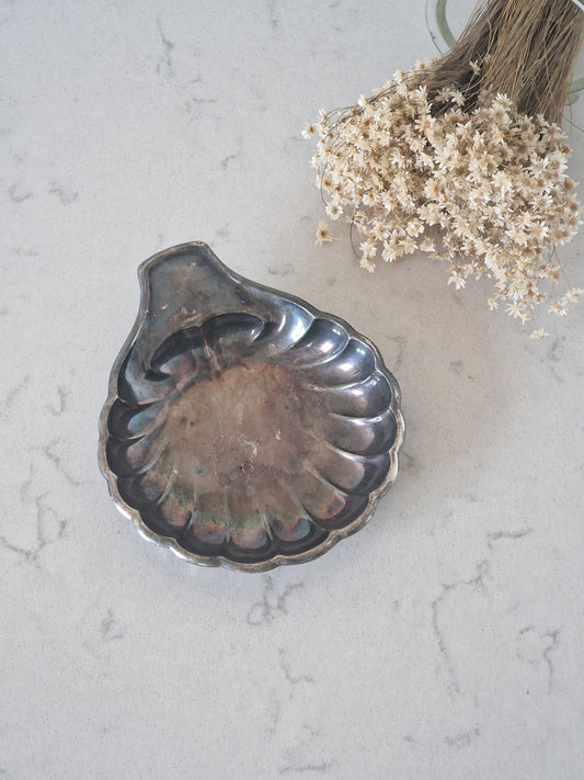 Clam dish