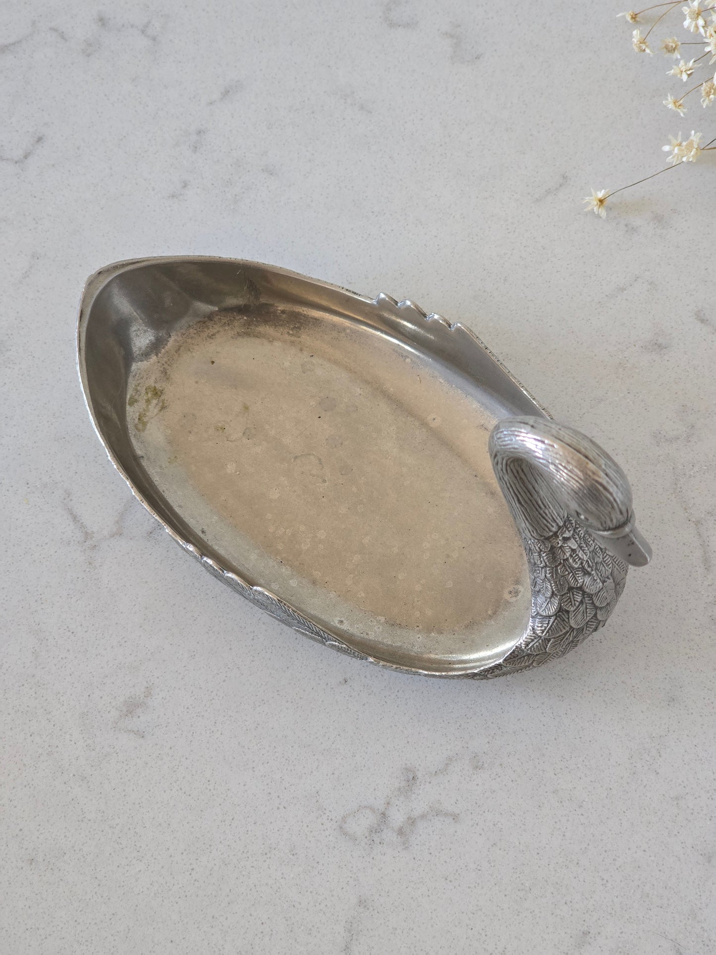 Joutsenastia