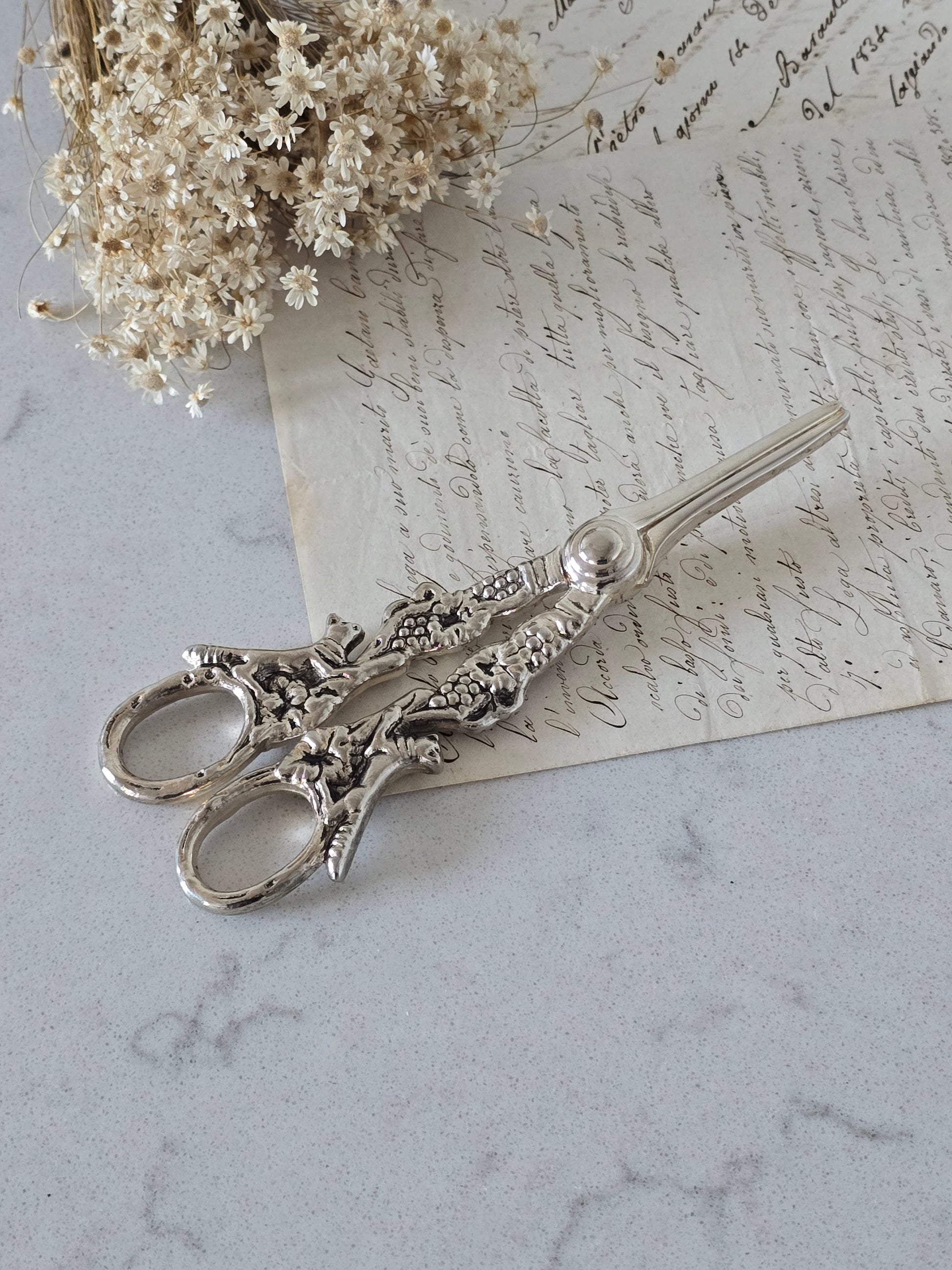 Vanhat vintage rypälesakset