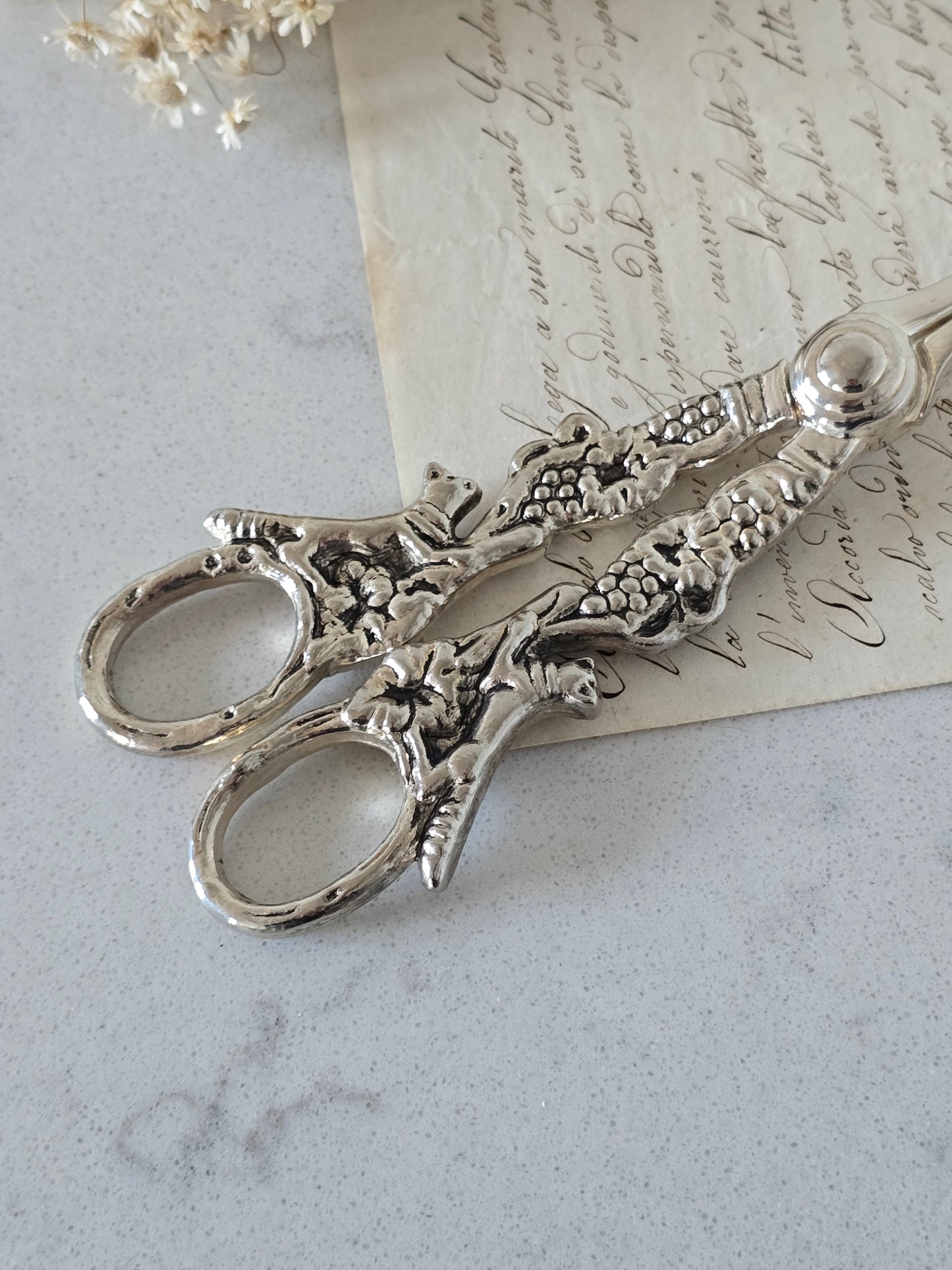 Vanhat vintage rypälesakset