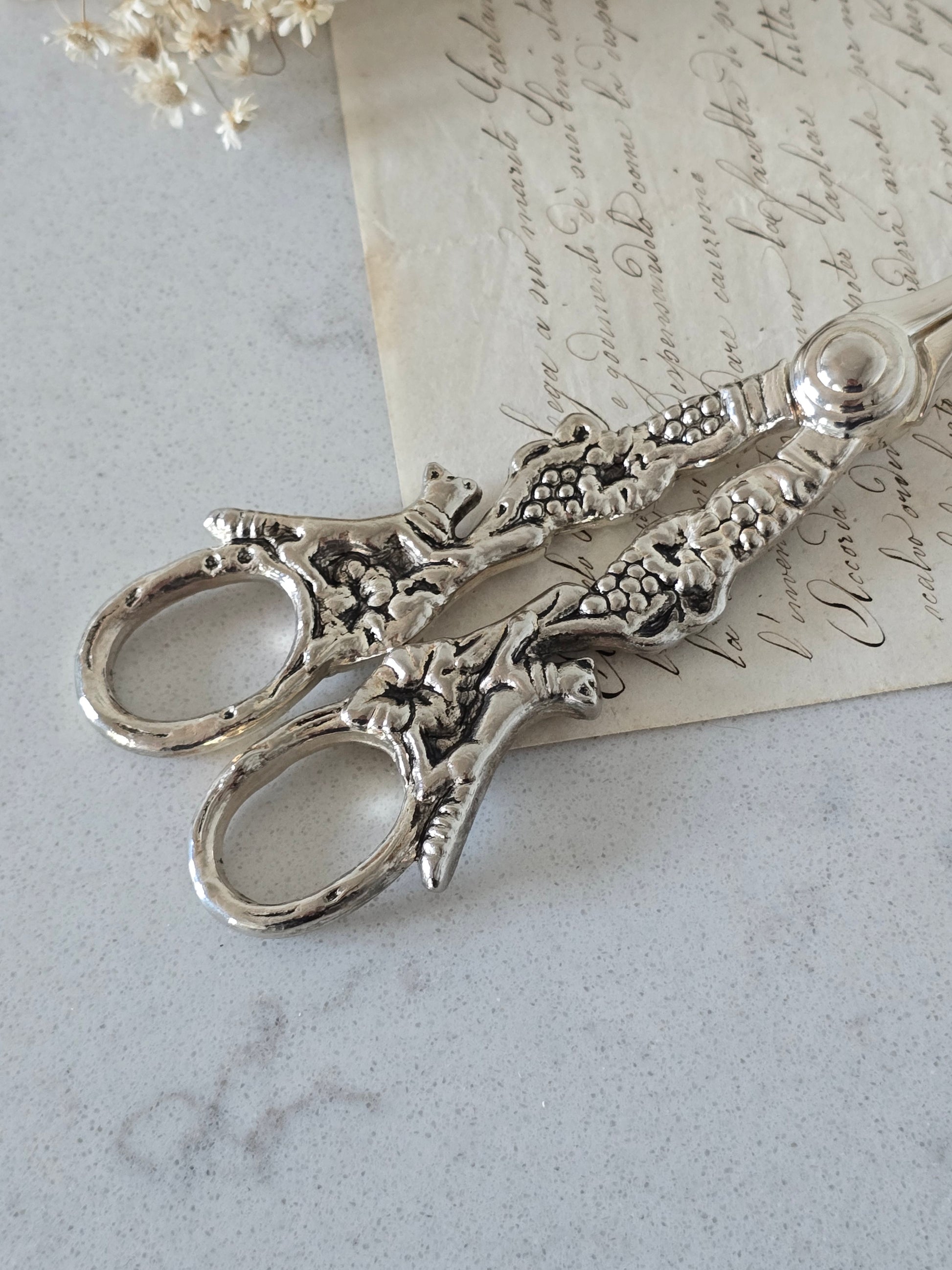 Vanhat vintage rypälesakset