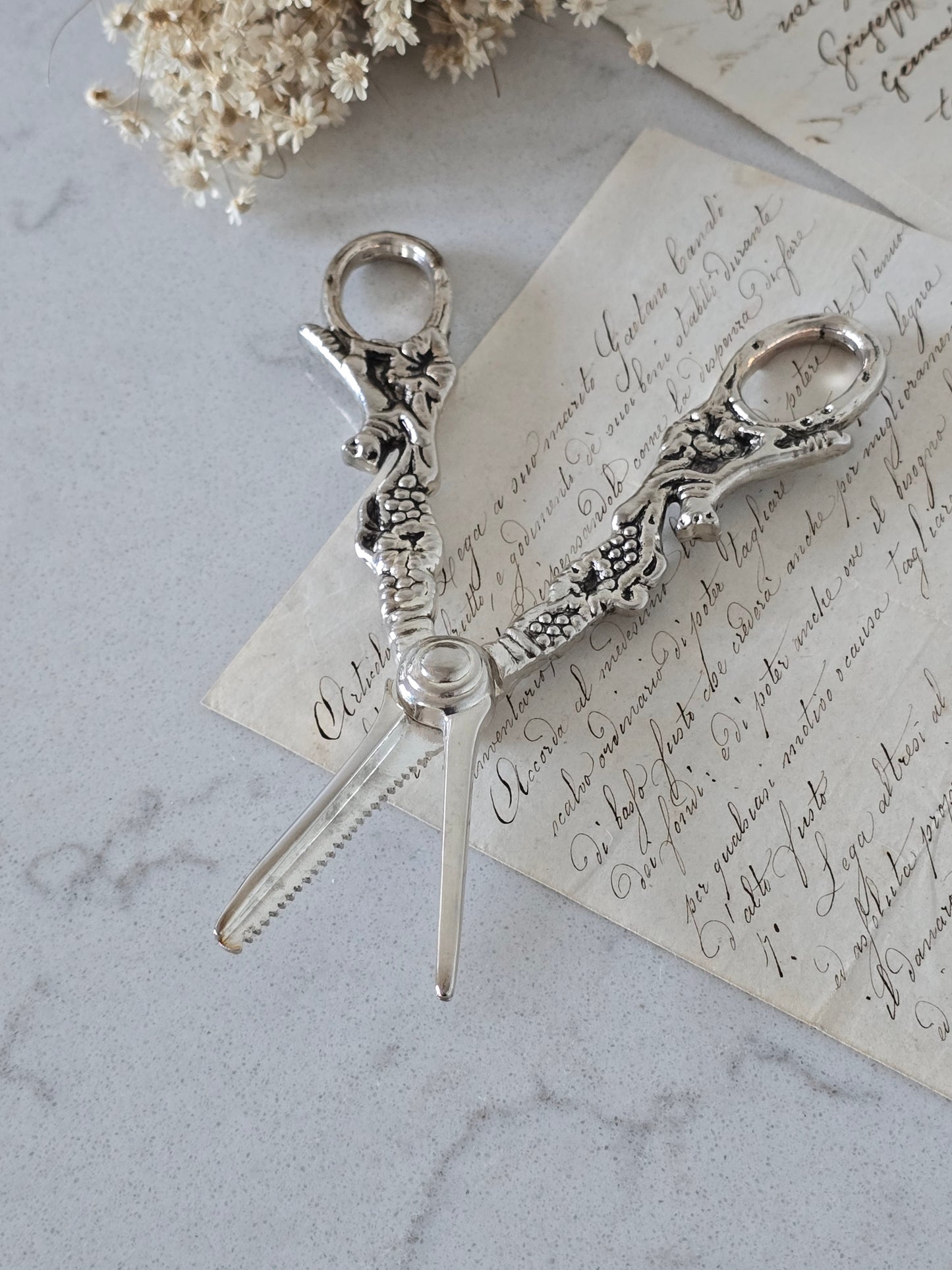 Vanhat vintage rypälesakset