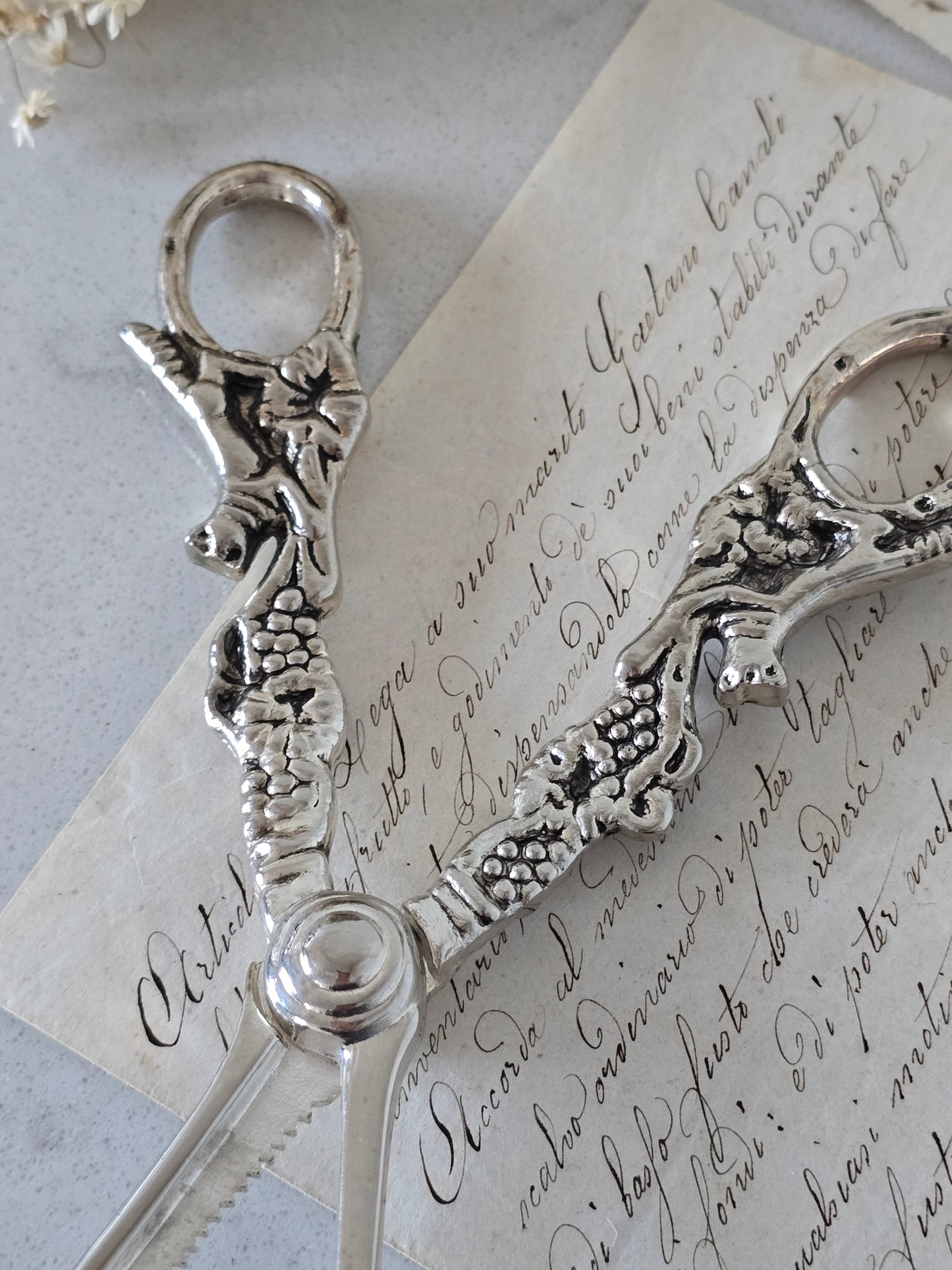 Vanhat vintage rypälesakset