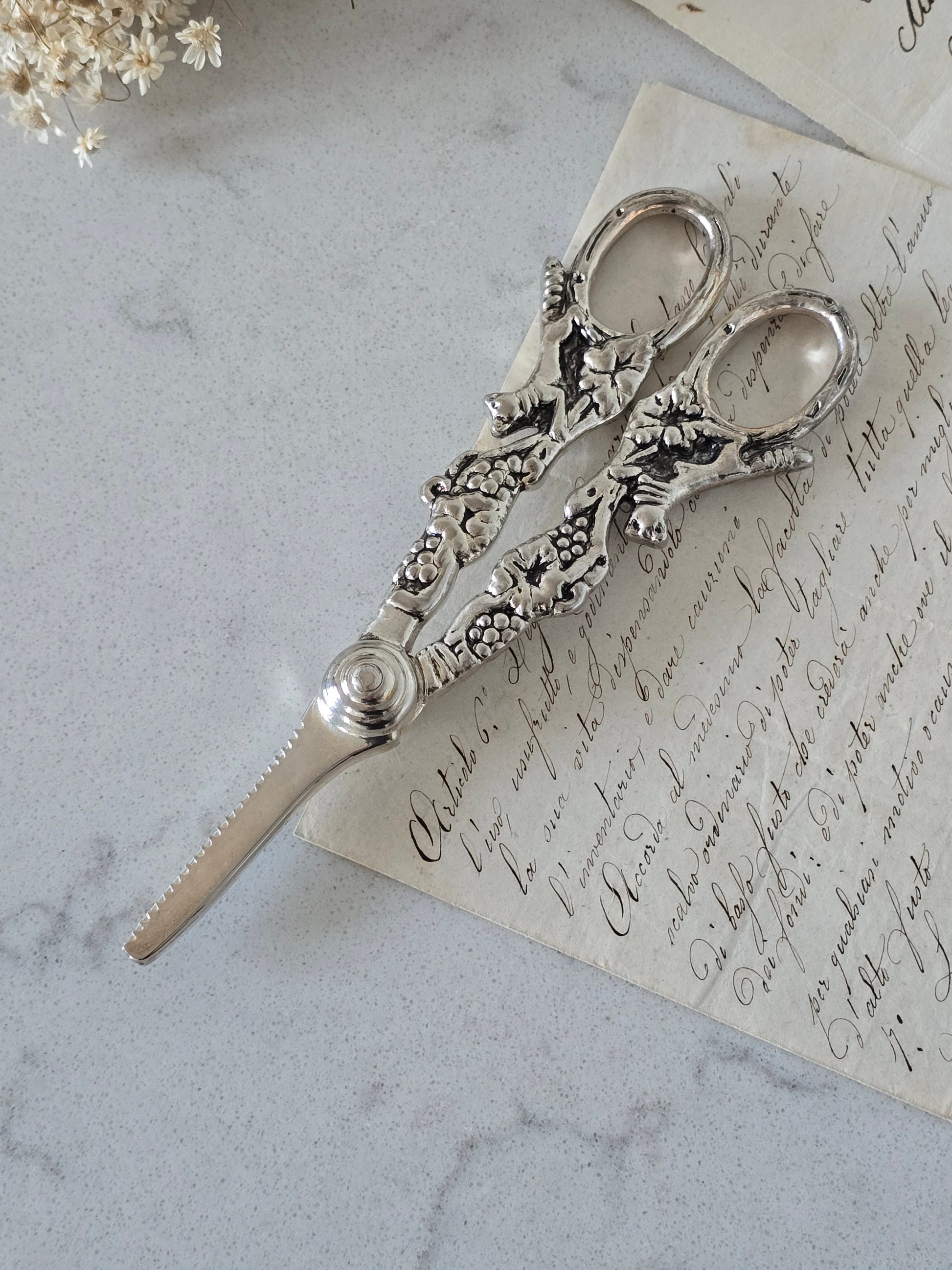 Vanhat vintage rypälesakset