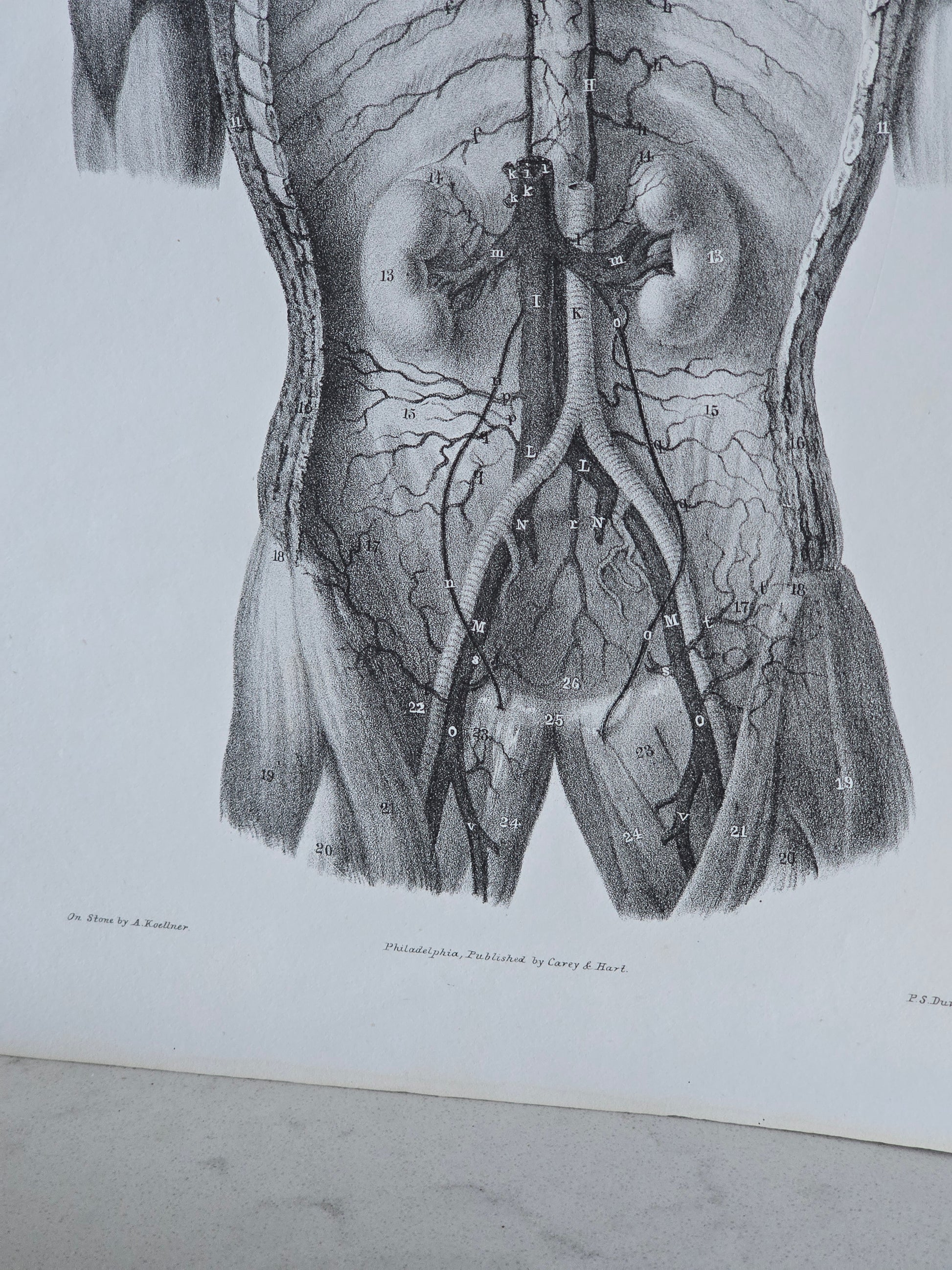 Vanhat v. 1840 anatomiset litografiat