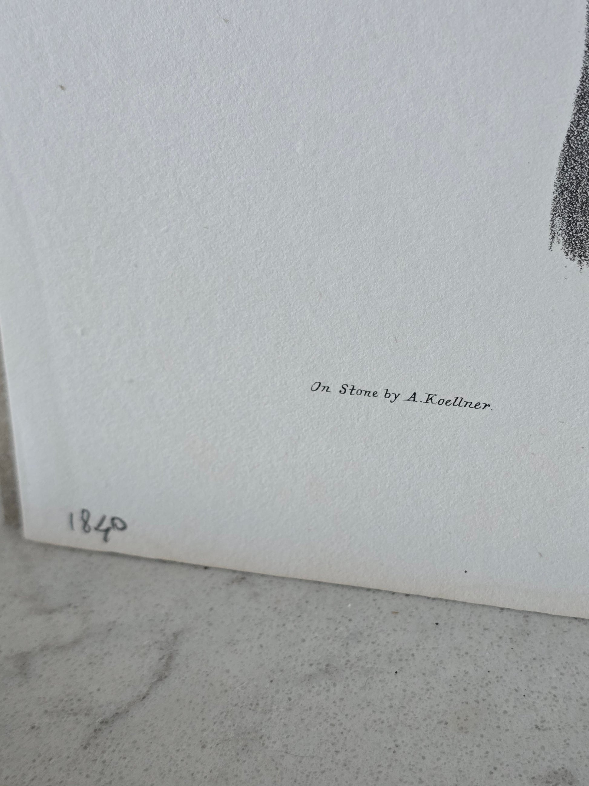 Vanhat v. 1840 anatomiset litografiat