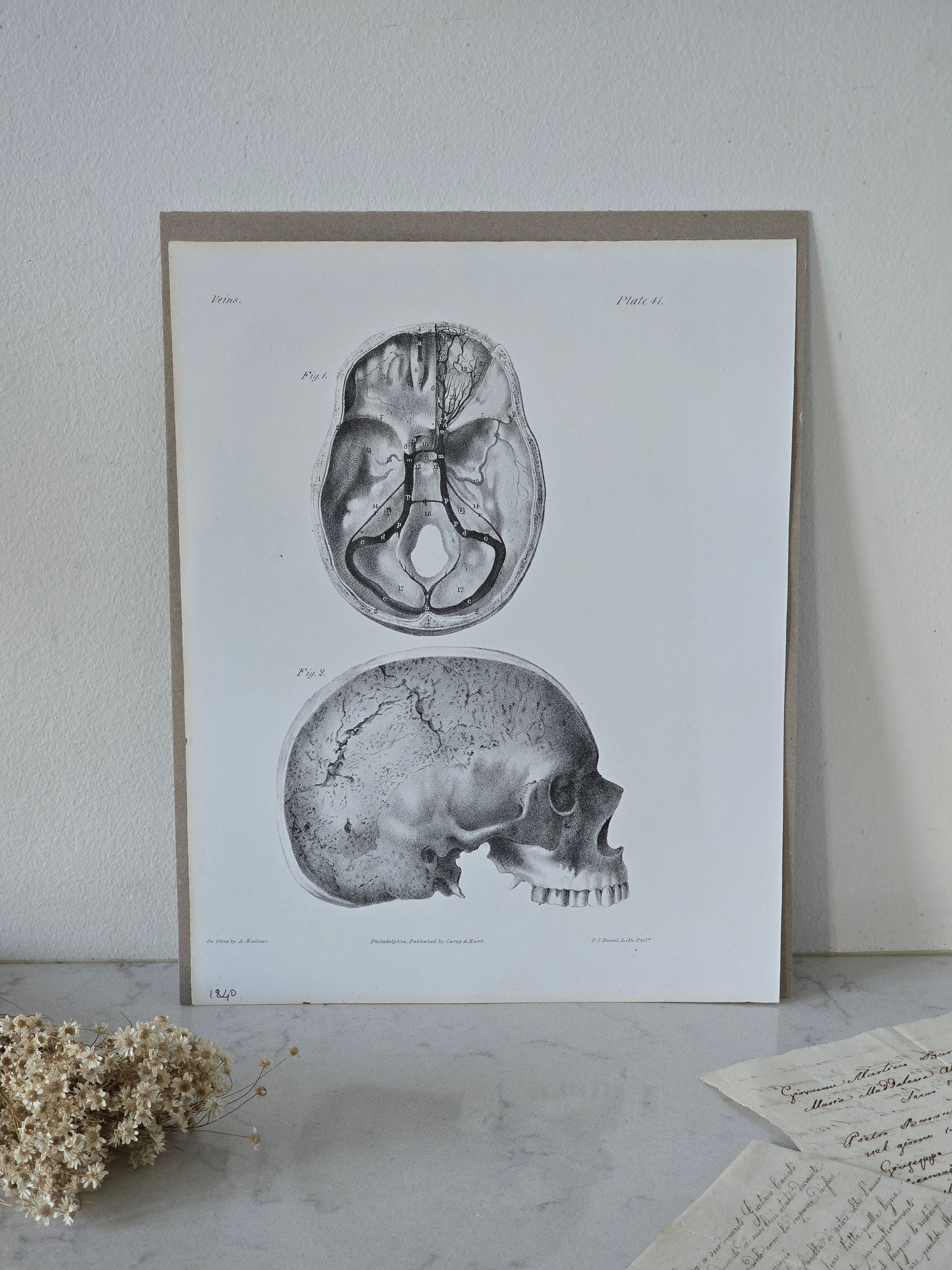 Vanhat v. 1840 anatomiset litografiat