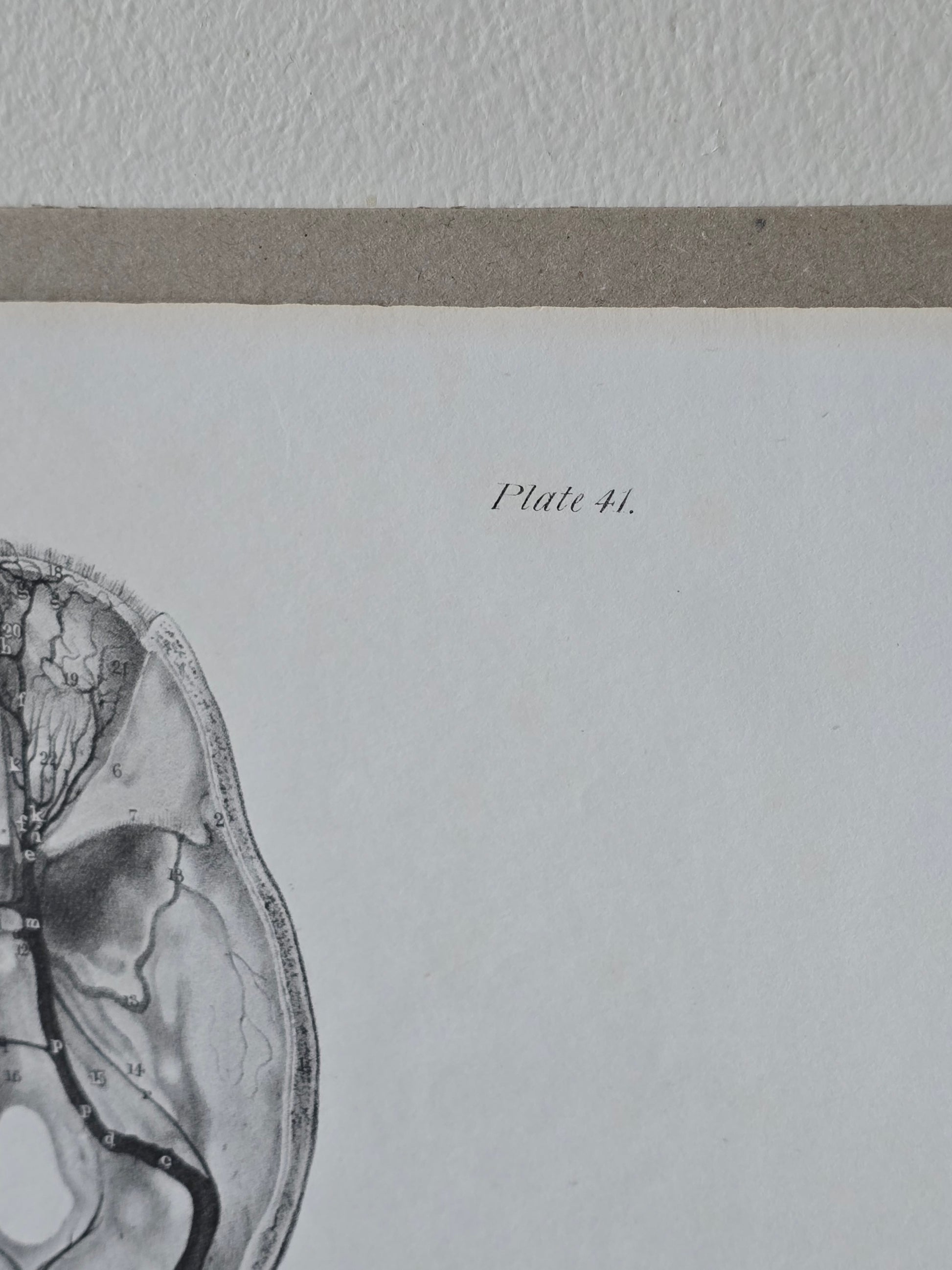 Vanhat v. 1840 anatomiset litografiat