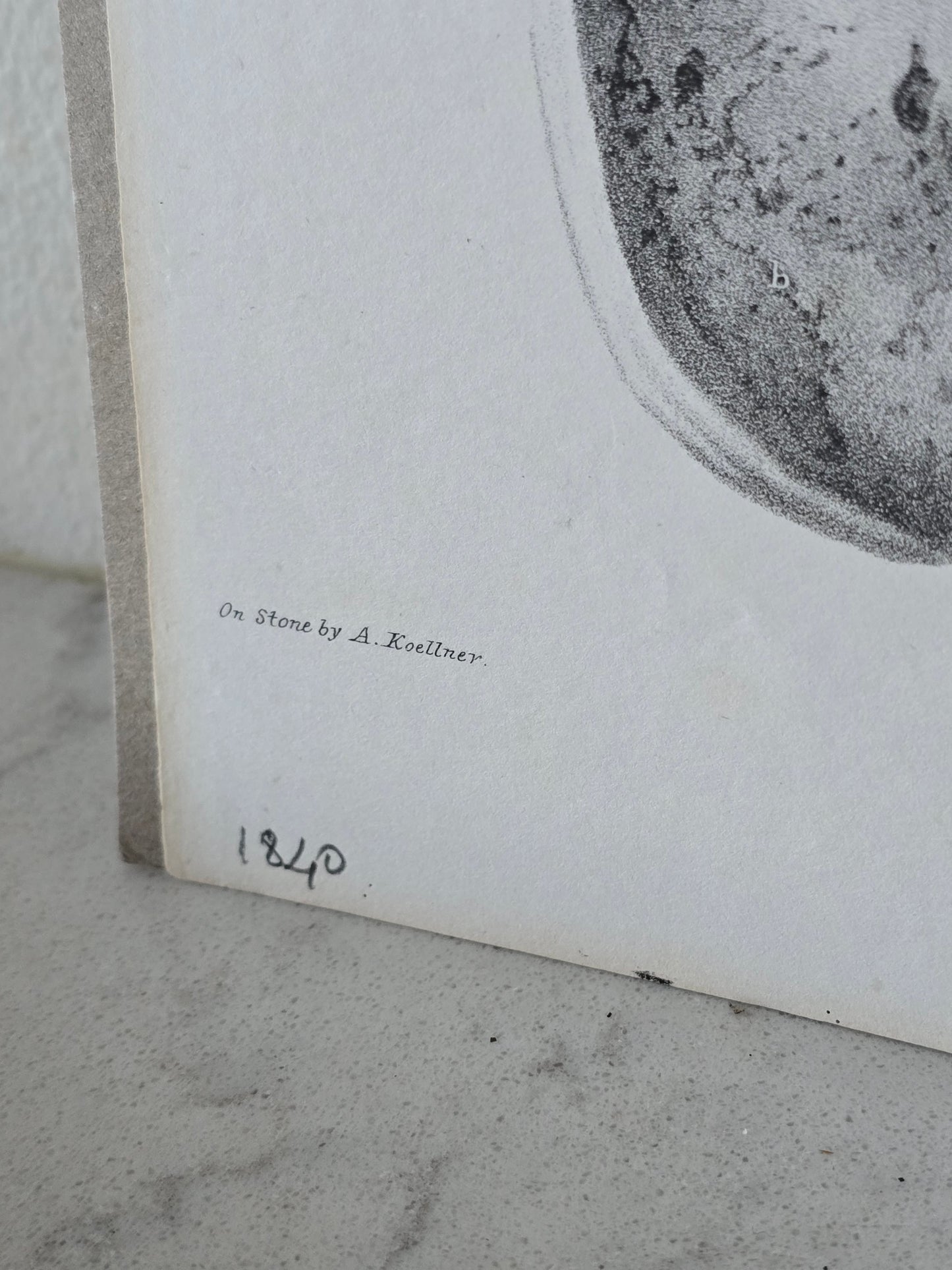 Vanhat v. 1840 anatomiset litografiat