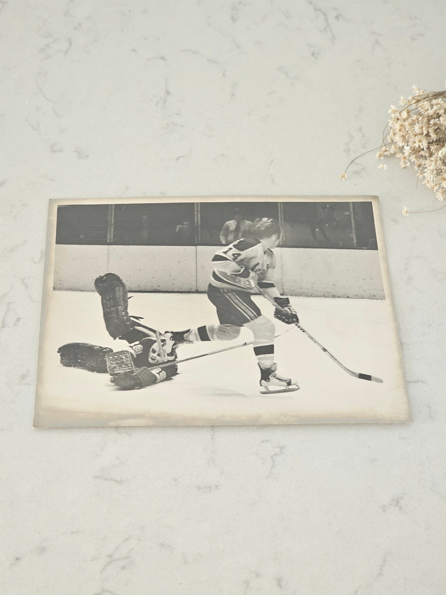 Vanha NHL-valokuva California Golden Seals-St. Louis Blues
