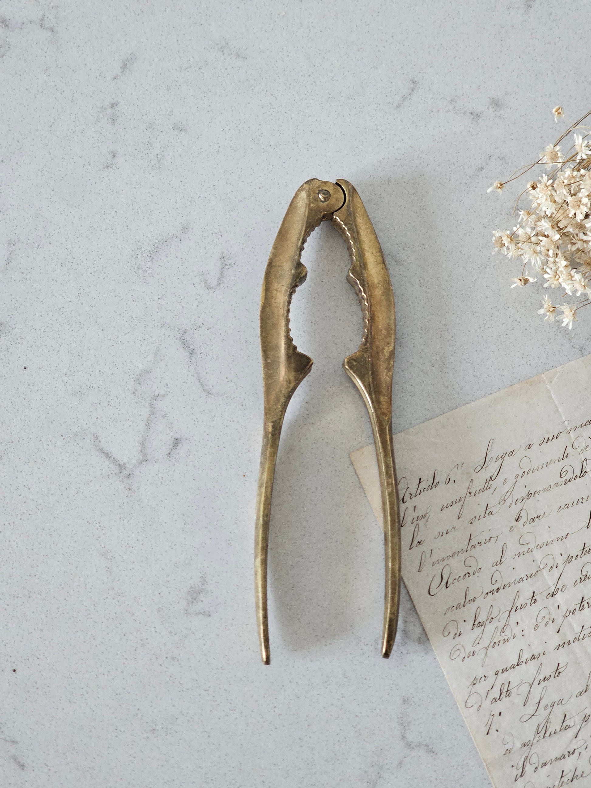 Vanha pähkinänsärkijä