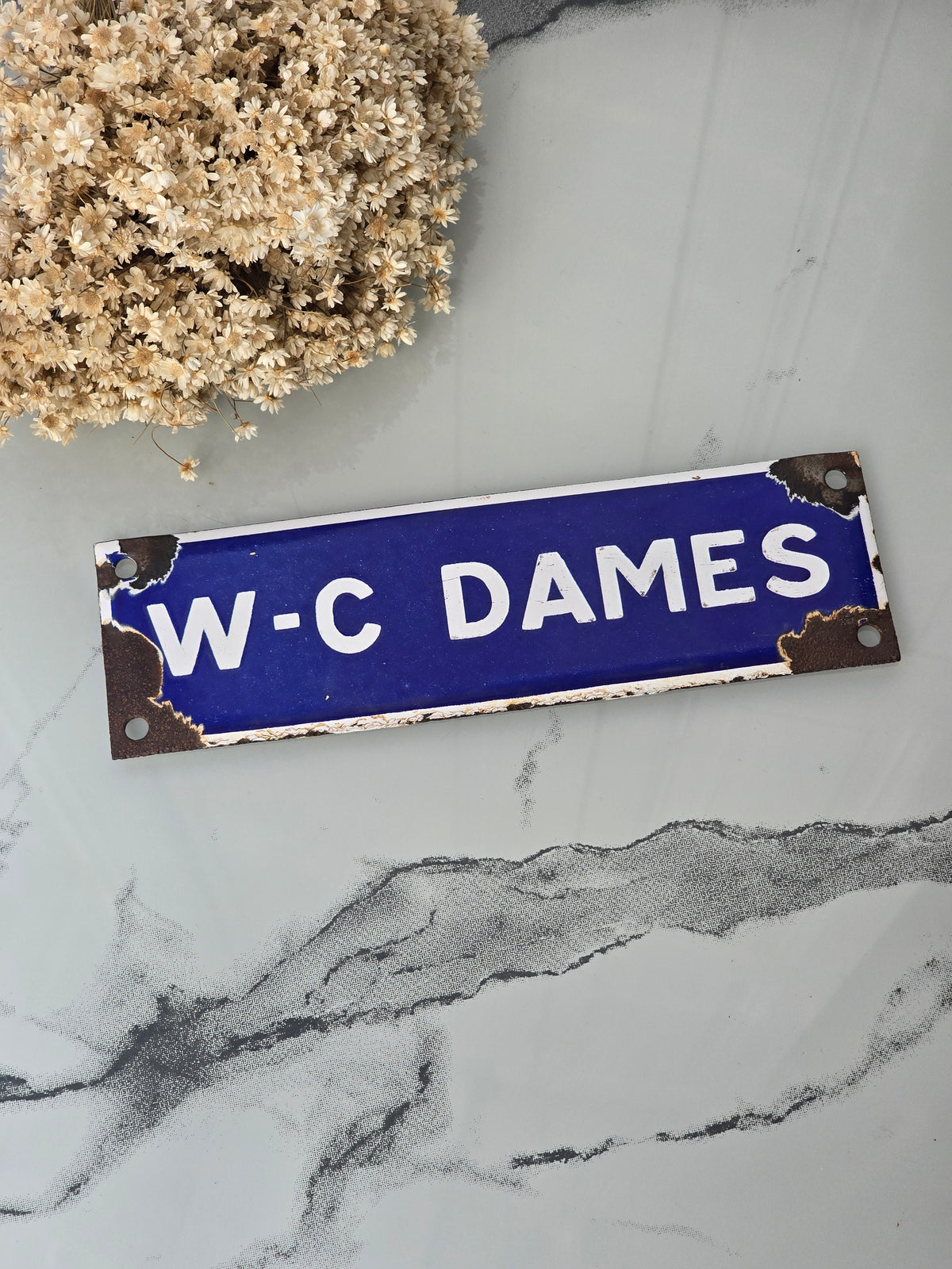 Vanha WC Dames emalikyltti