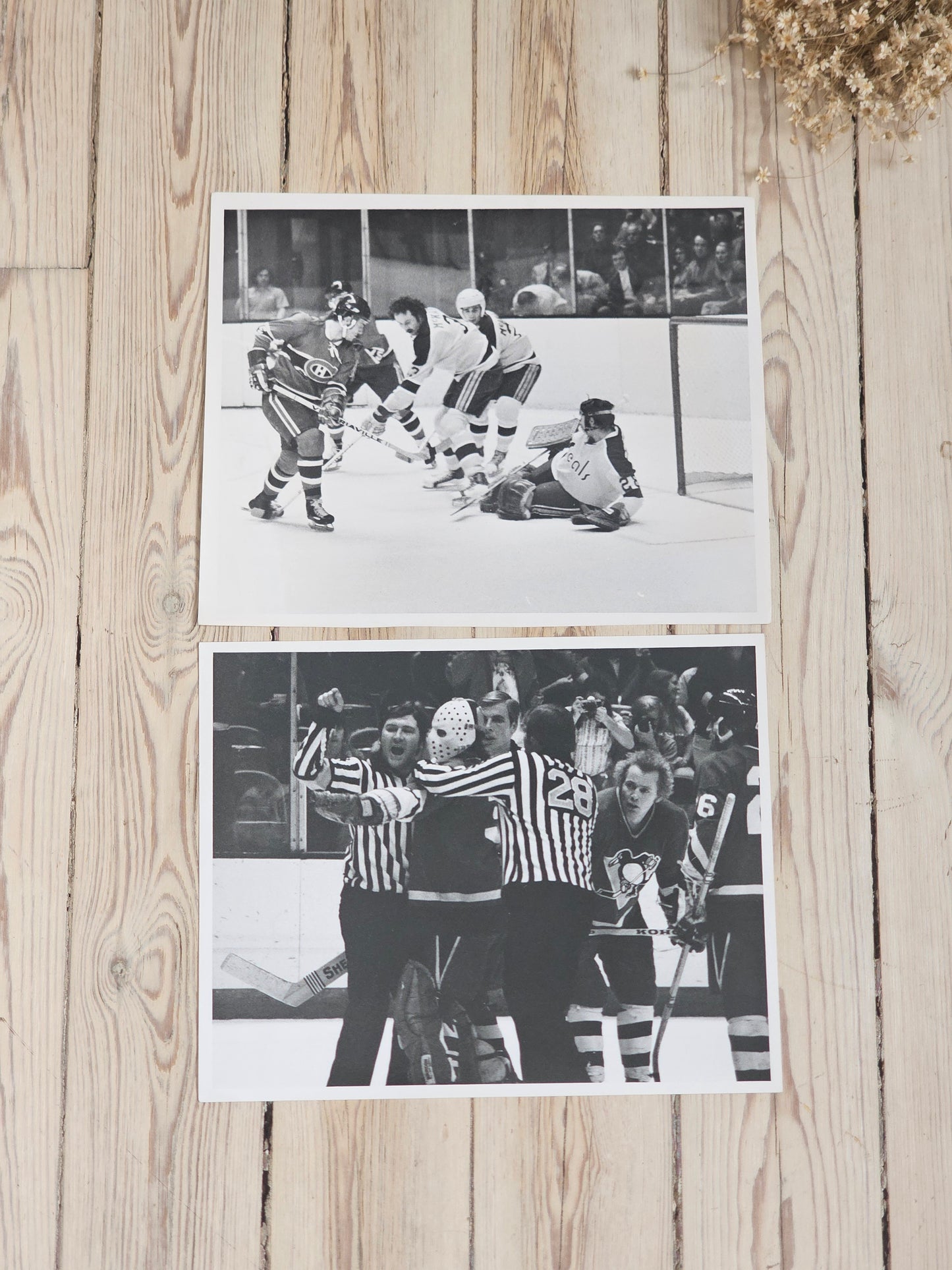 Vanhat NHL valokuvat California Golden Seals-Montreal Canadiens Pittsburgh Penguins