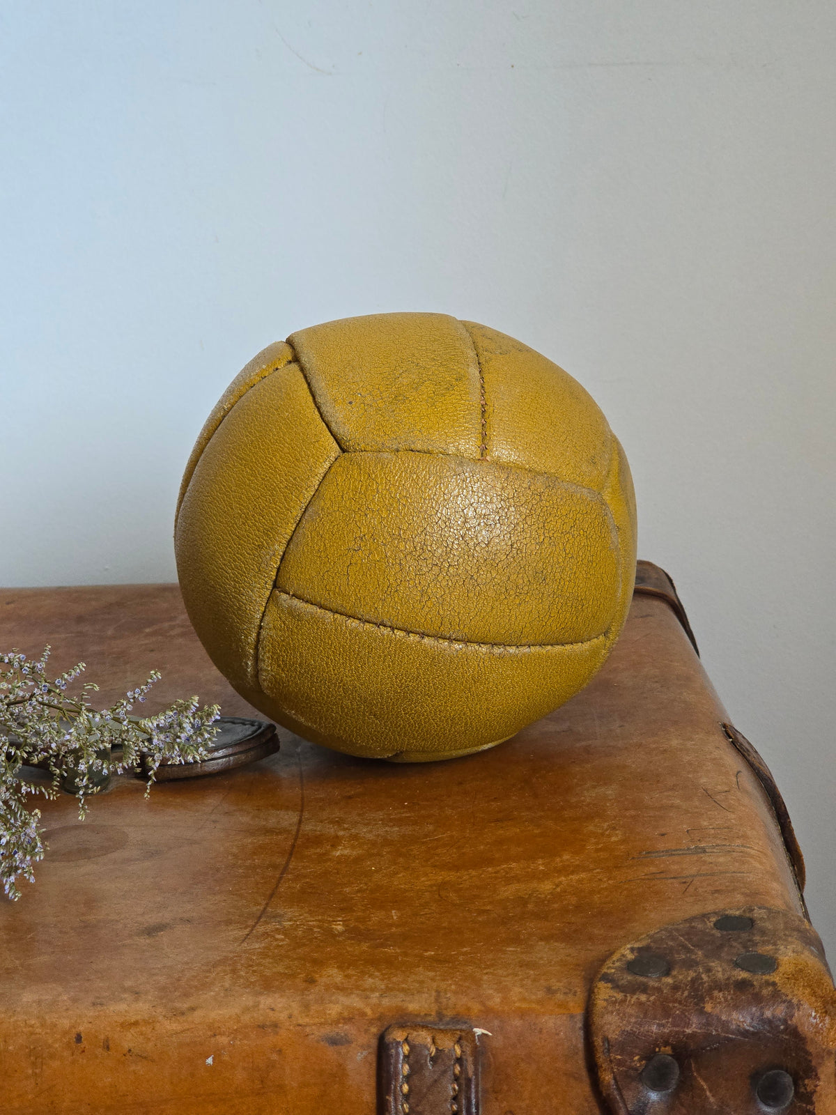 Vintage nahkapallo