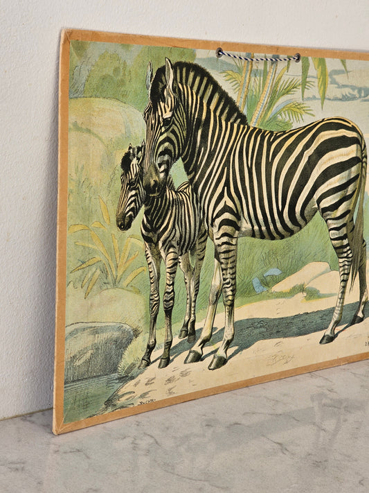 Alfred Jacobsens eläintaulut