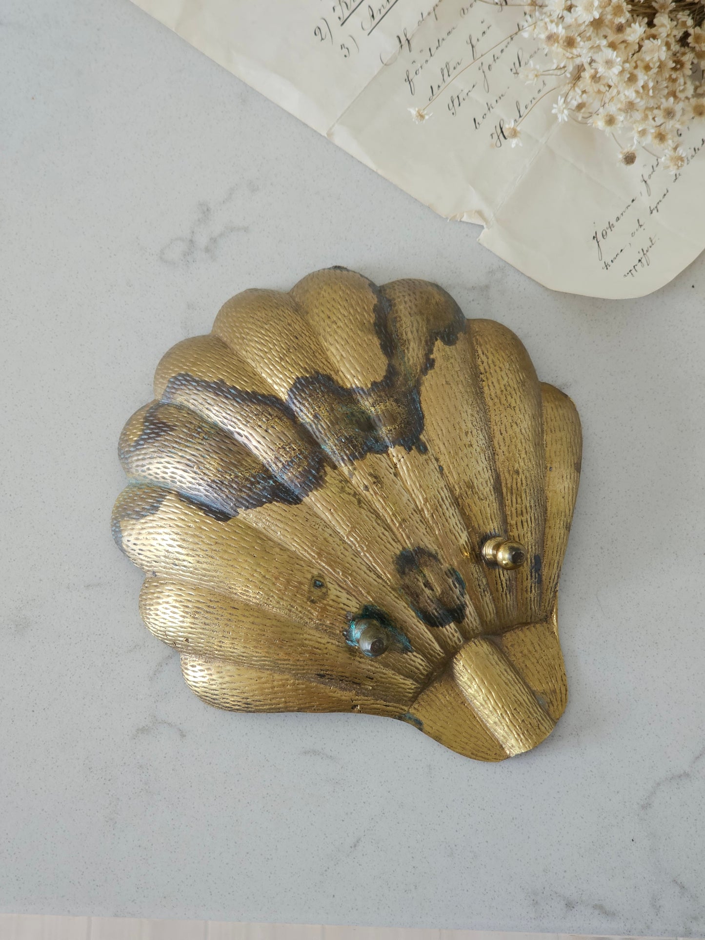 Brass shell