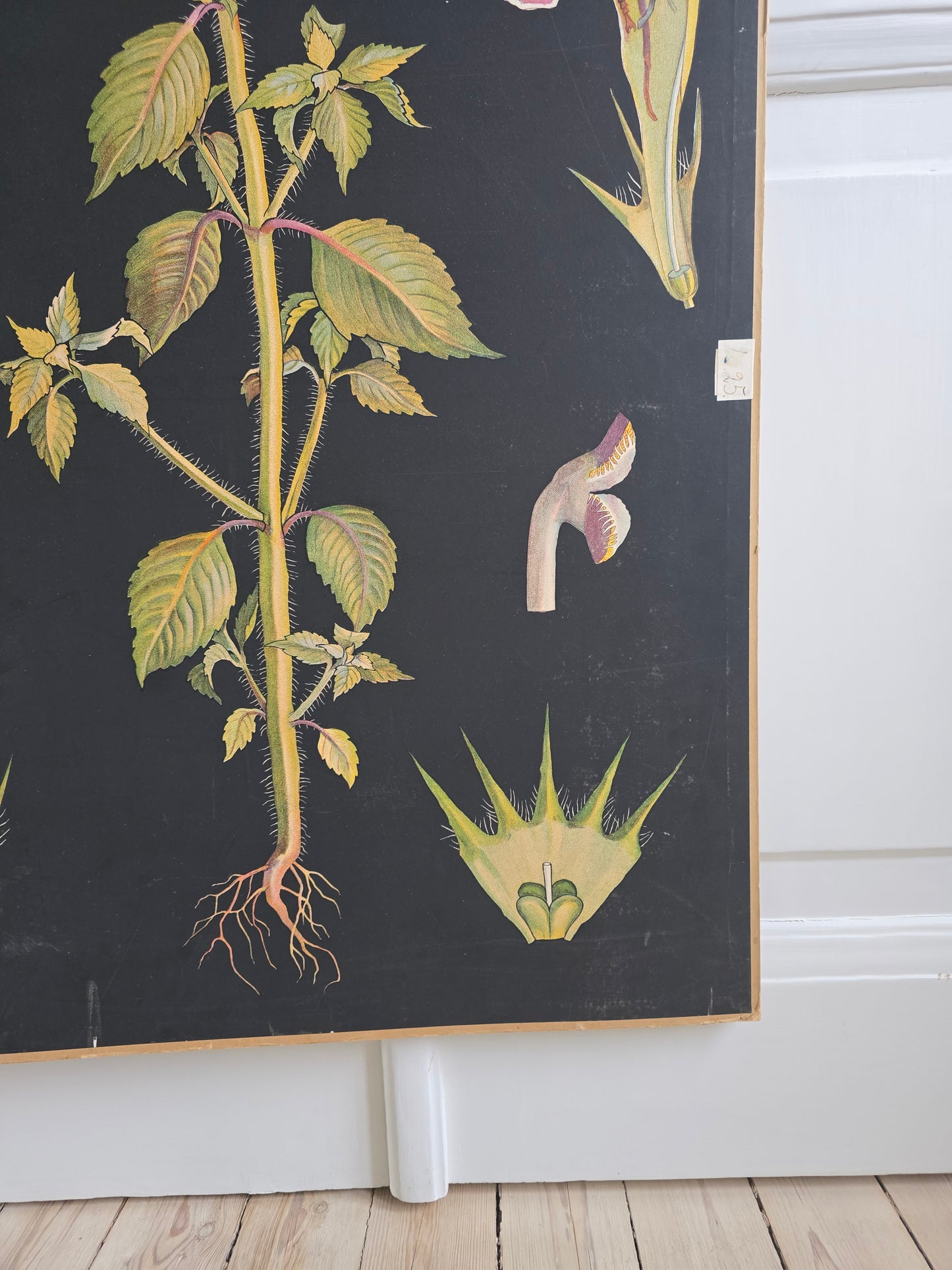 Ebba Masalin Keltapillike opetustaulu