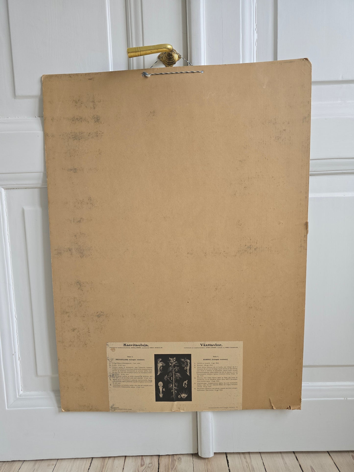 Ebba Masalin Keltapillike opetustaulu