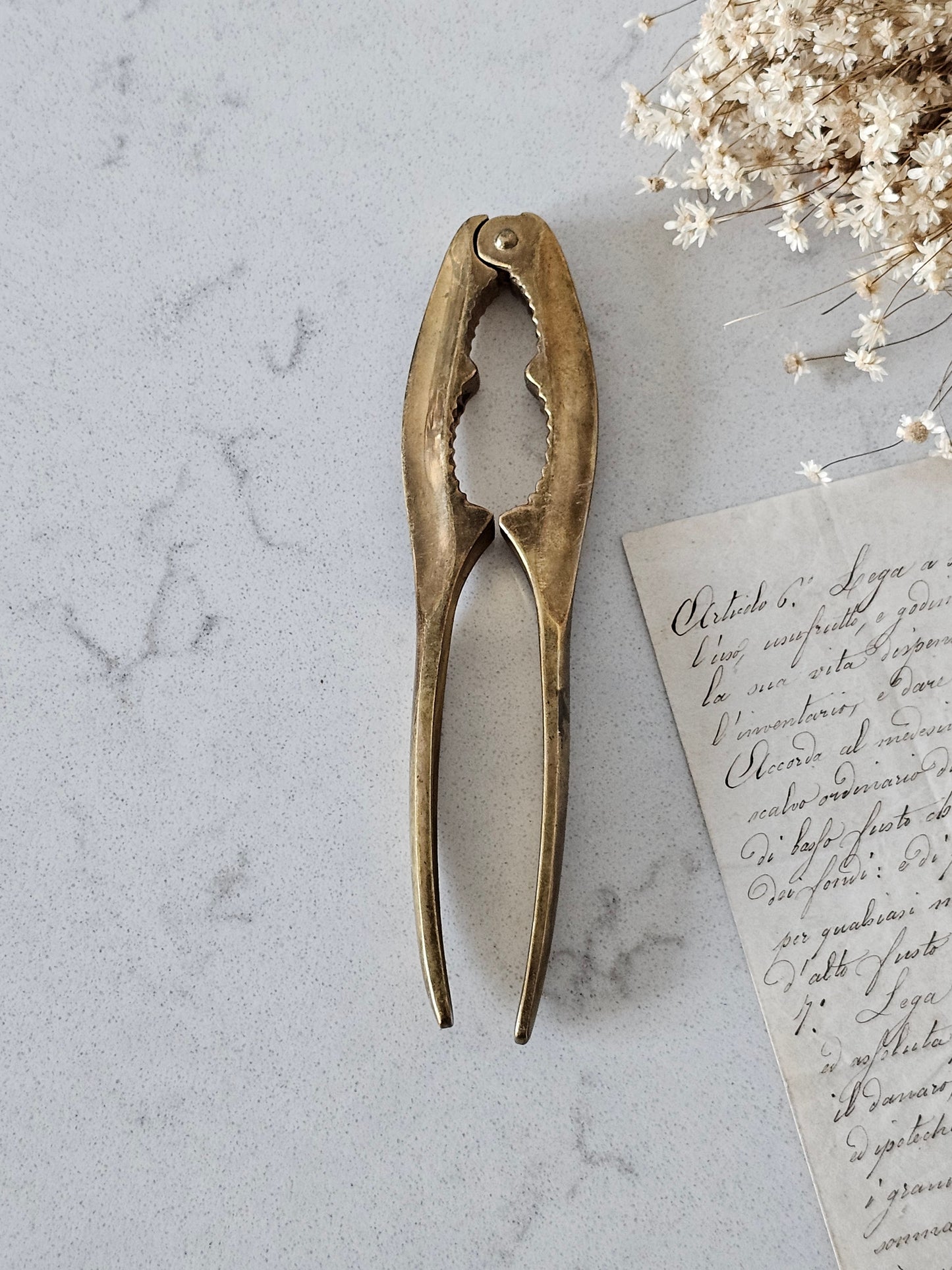 Pähkinänsärkijä 1970-luku