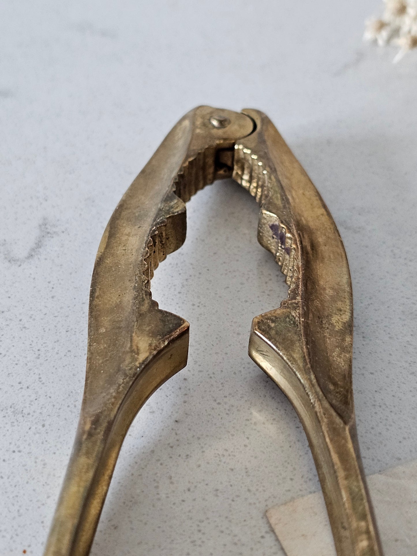 Pähkinänsärkijä 1970-luku