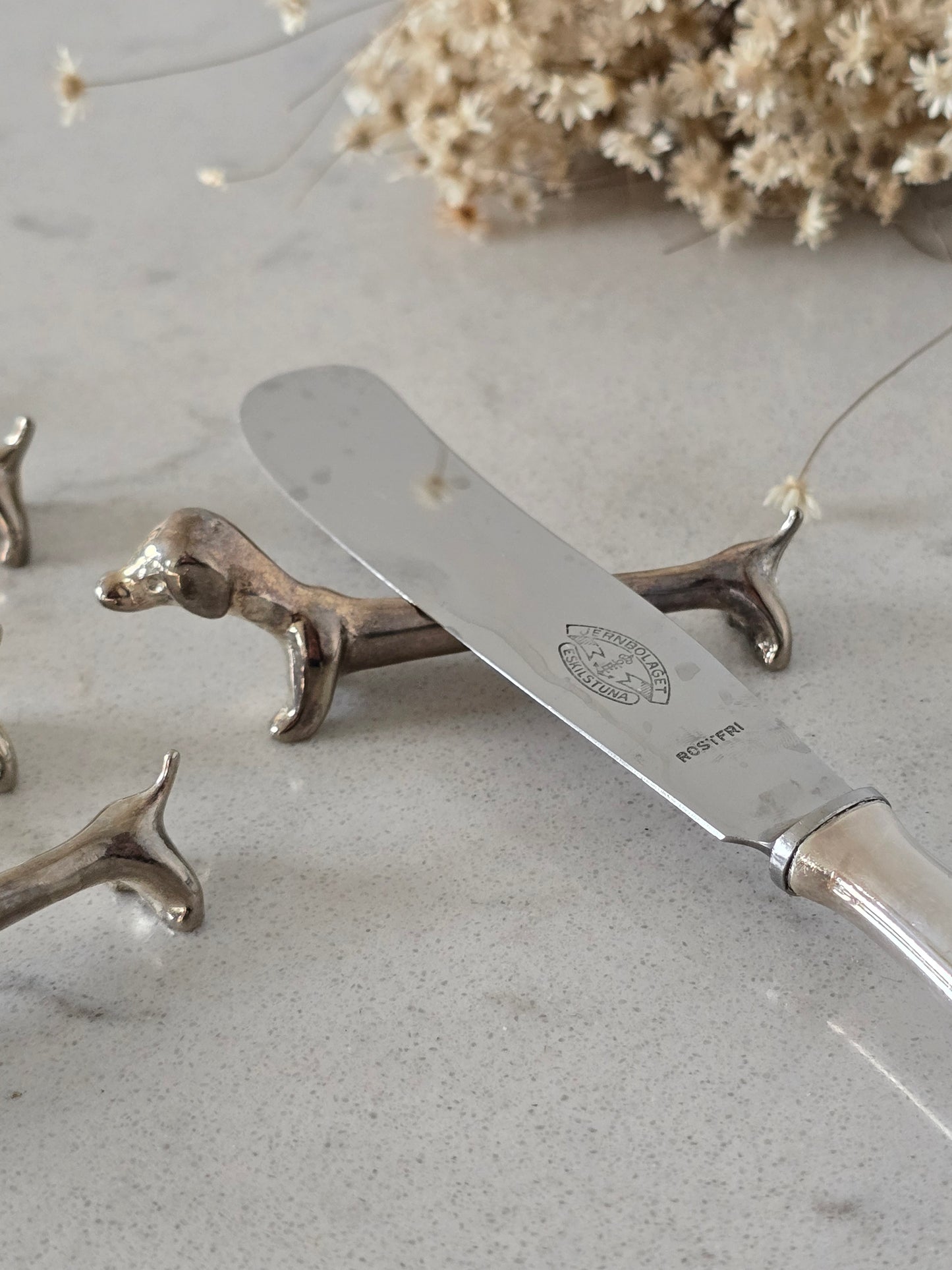 Mäyräkoira-aterinlepuuttaja