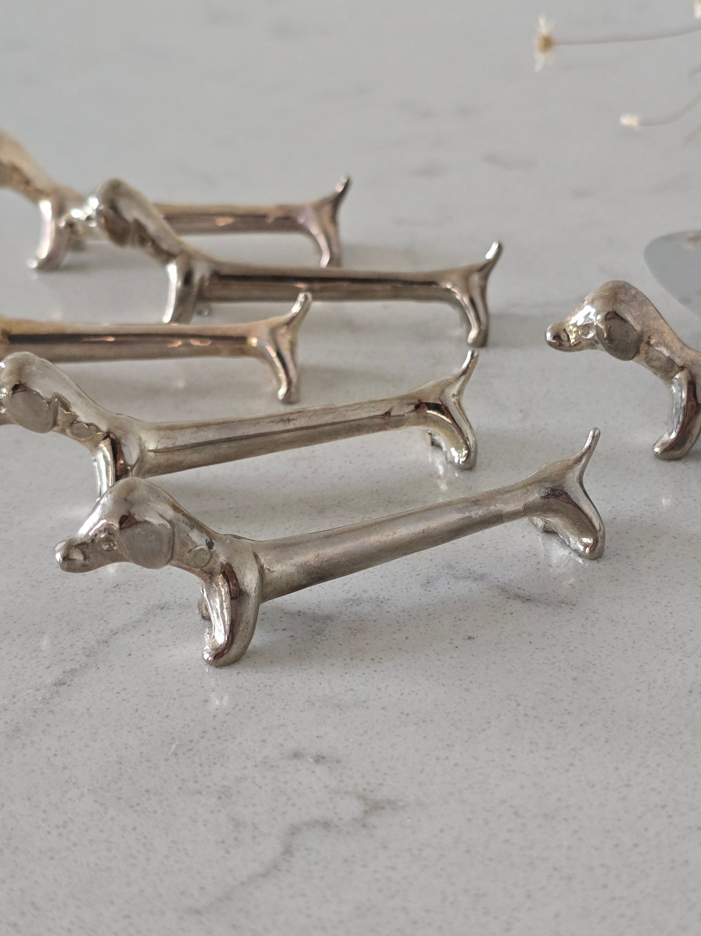 Mäyräkoira-aterinlepuuttaja