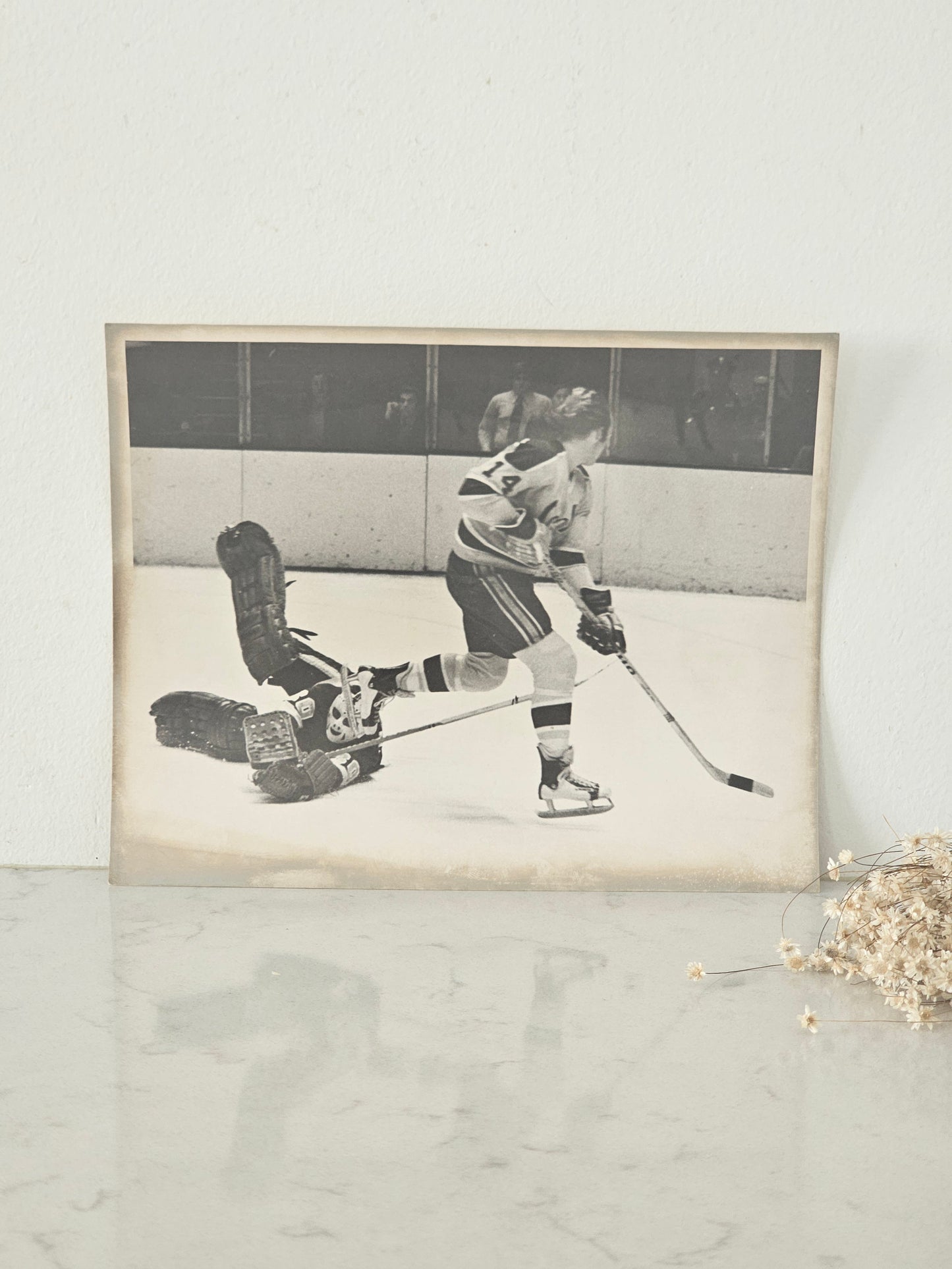 Vanha NHL-valokuva California Golden Seals-St. Louis Blues