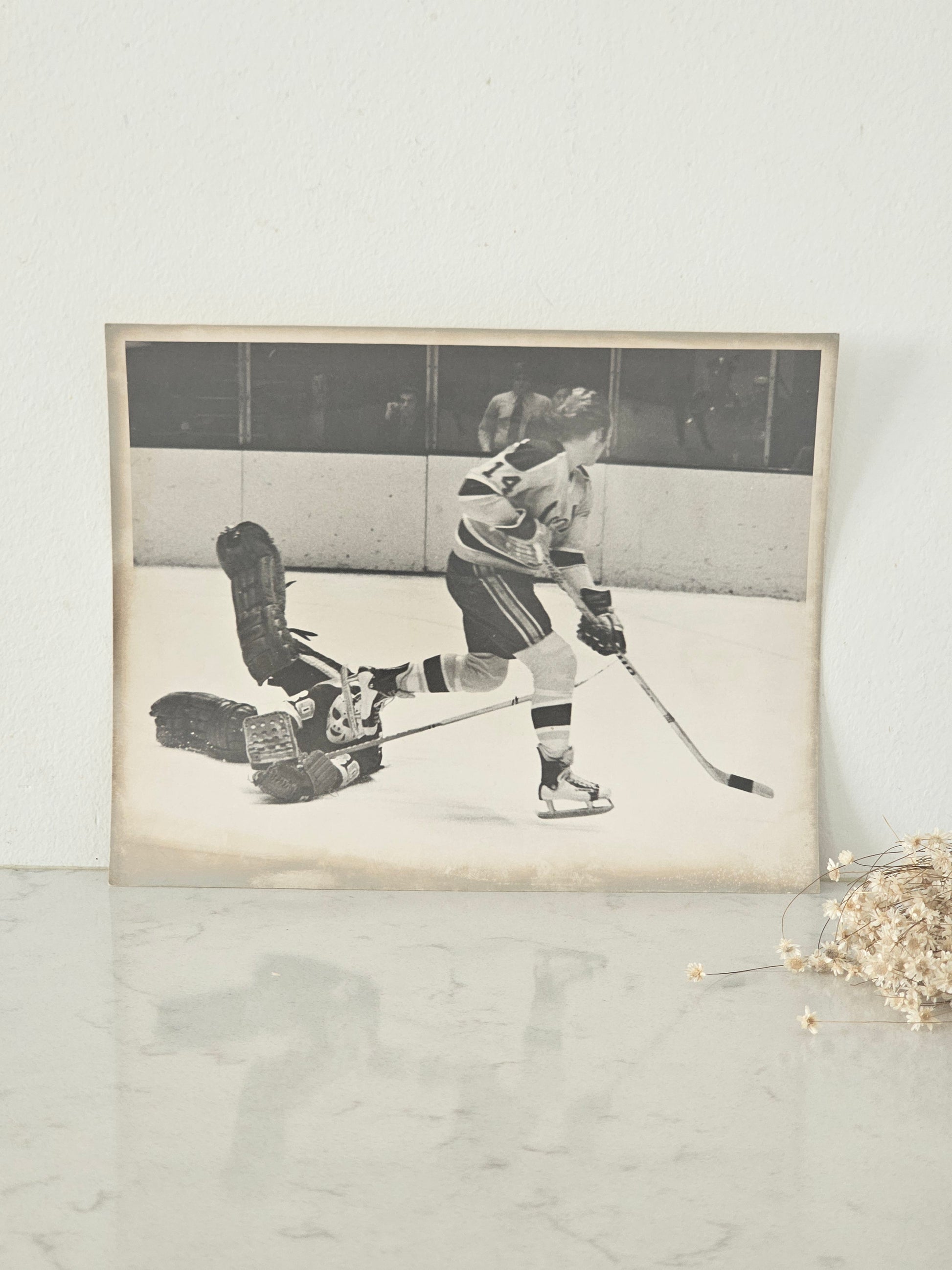 Vanha NHL-valokuva California Golden Seals-St. Louis Blues