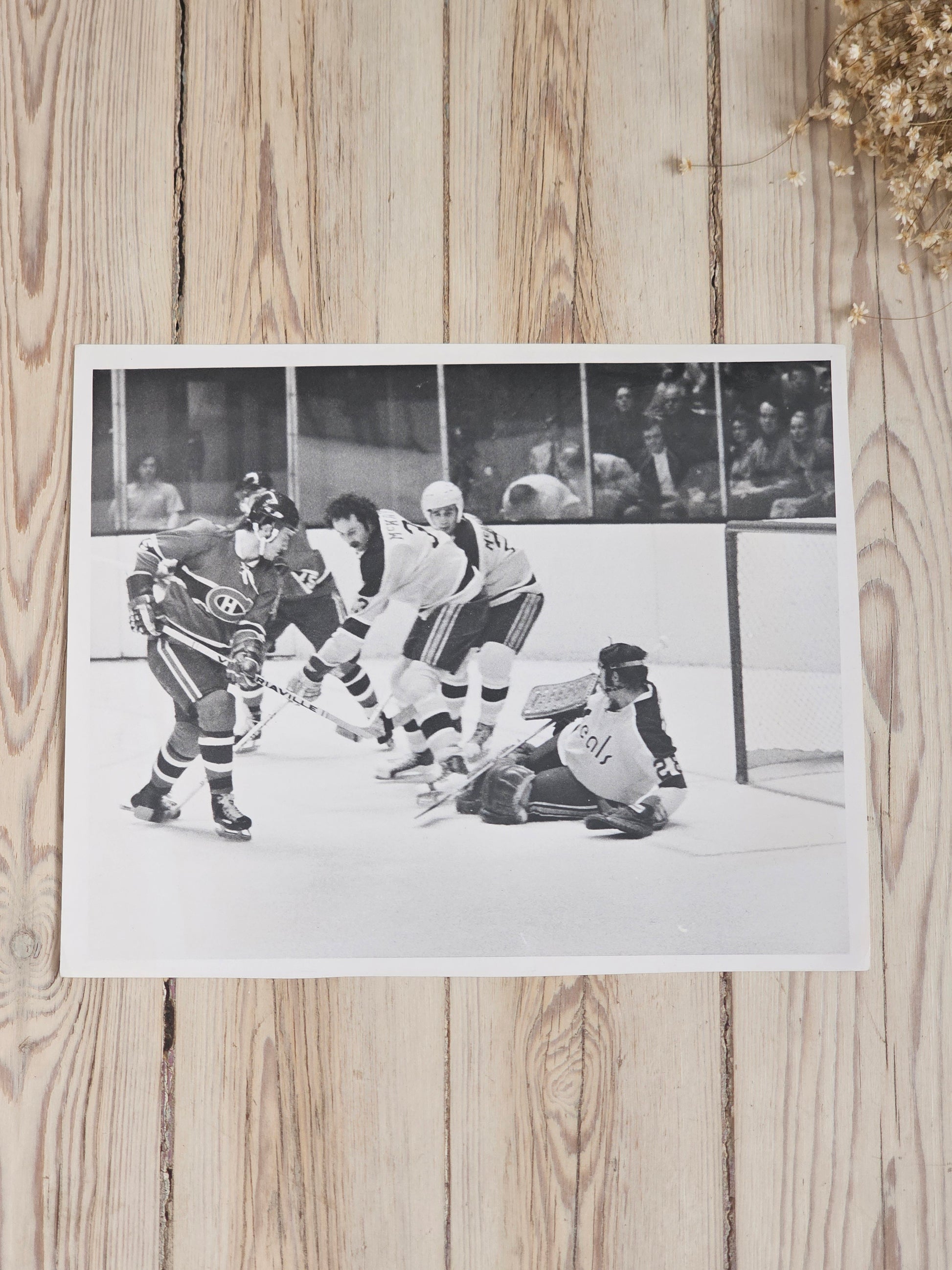 Vanhat NHL valokuvat California Golden Seals-Montreal Canadiens Pittsburgh Penguins