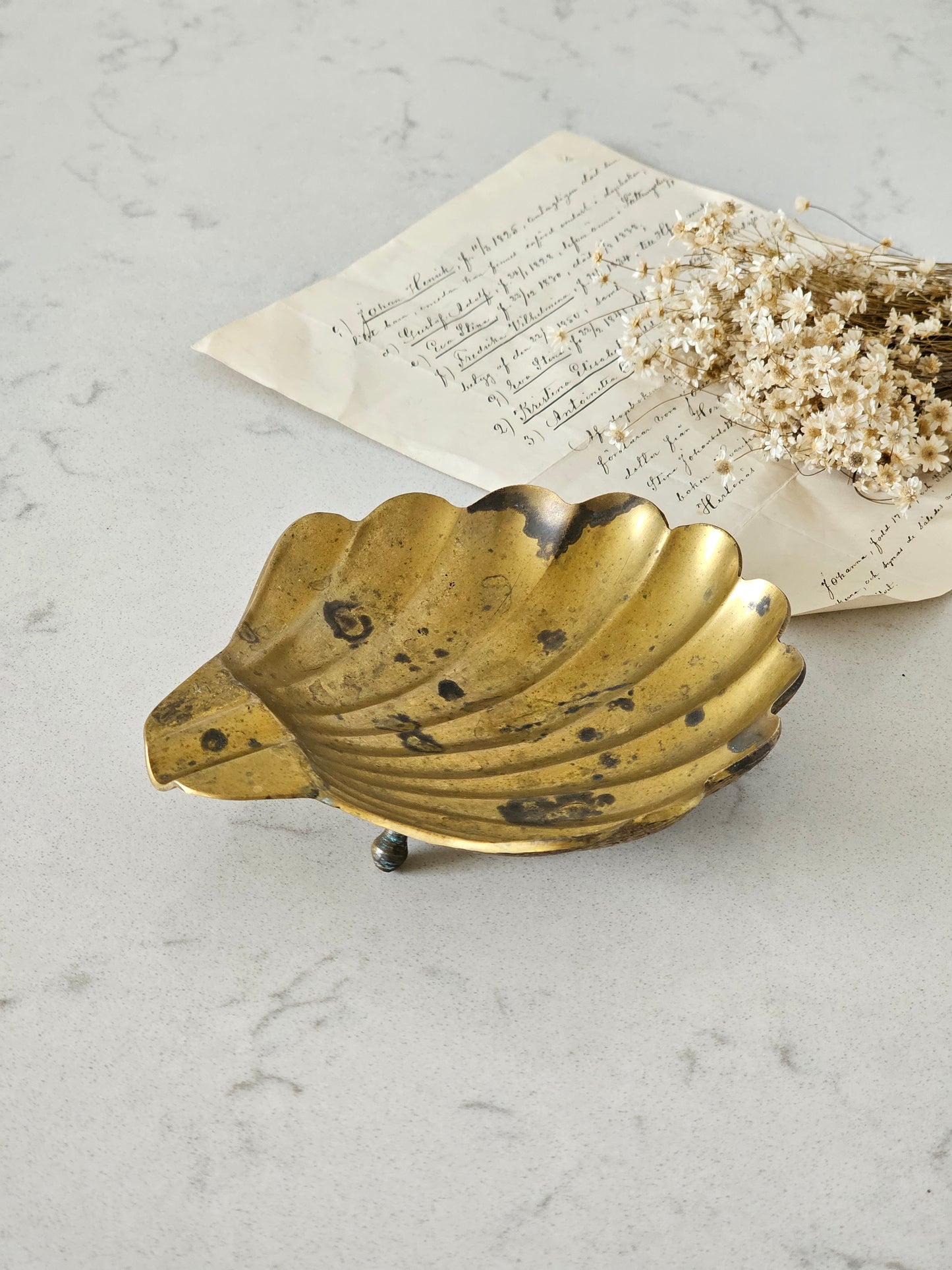 Brass shell
