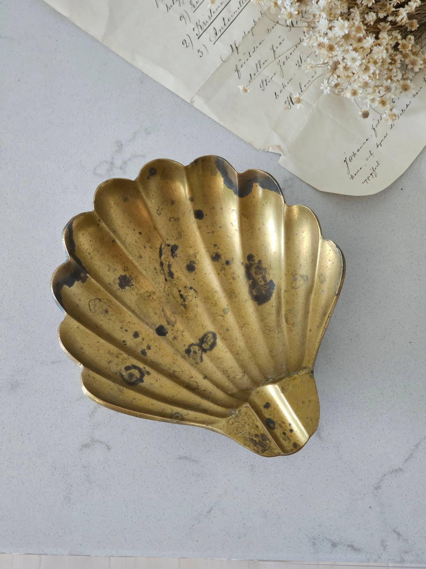 Brass shell