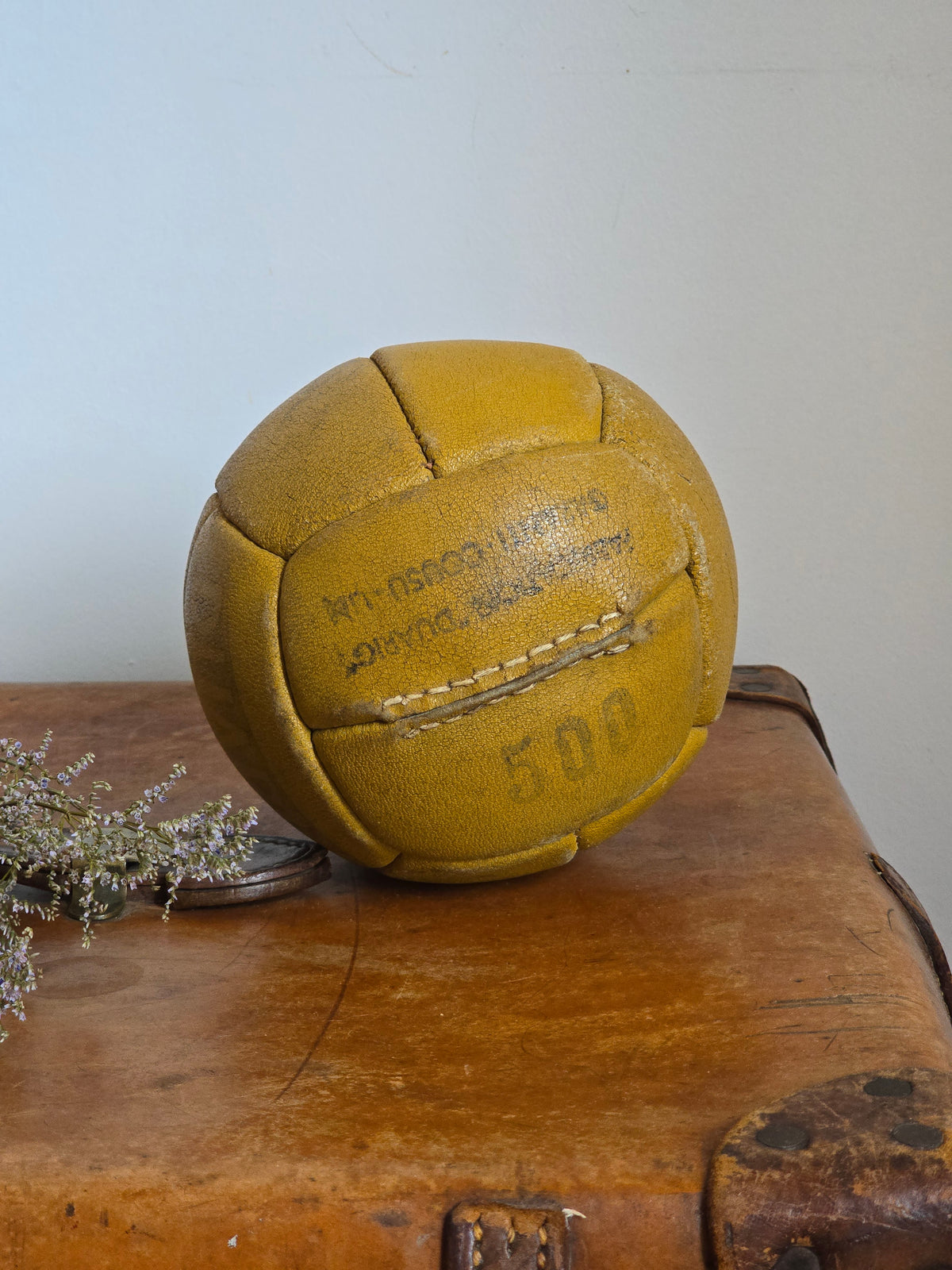 Vintage nahkapallo