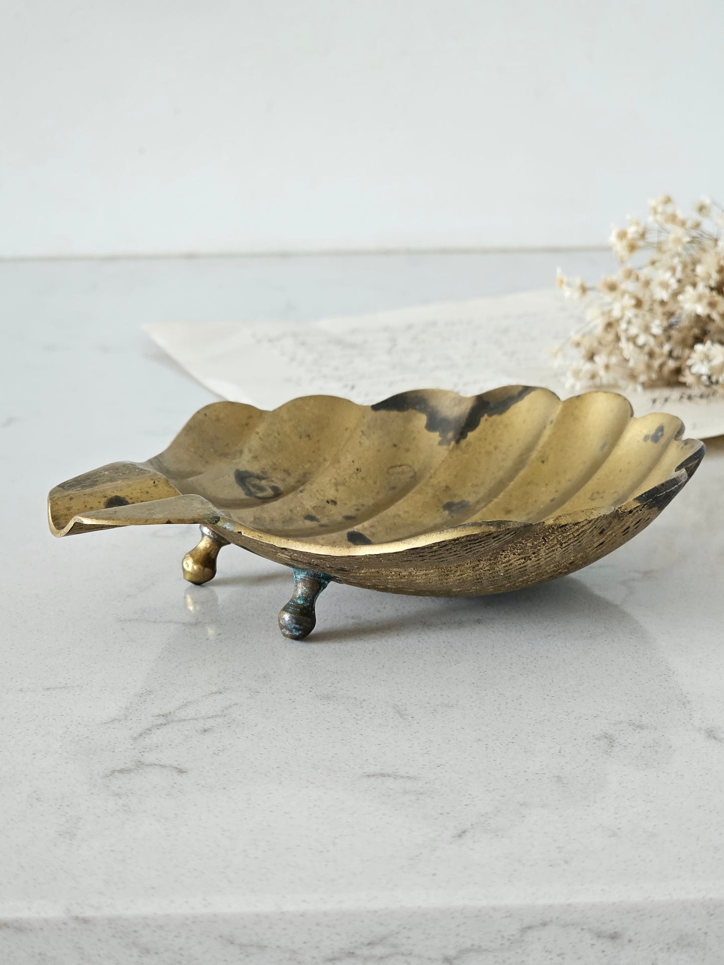 Brass shell